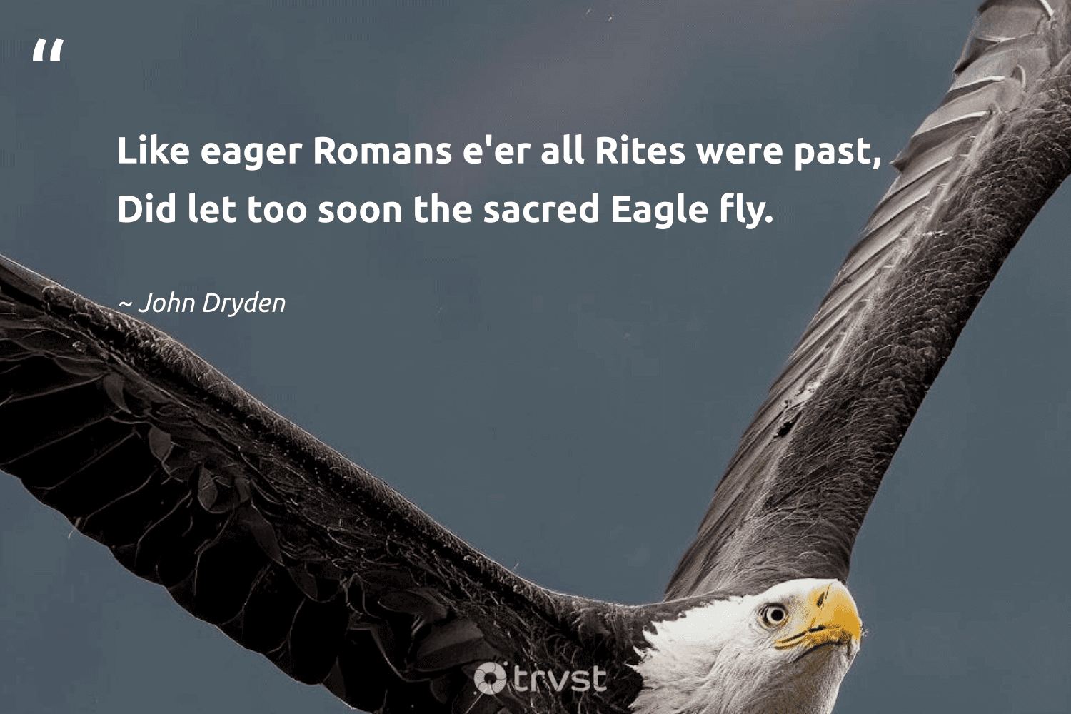Eagle Quotes Wallpapers Wallpaper Cave