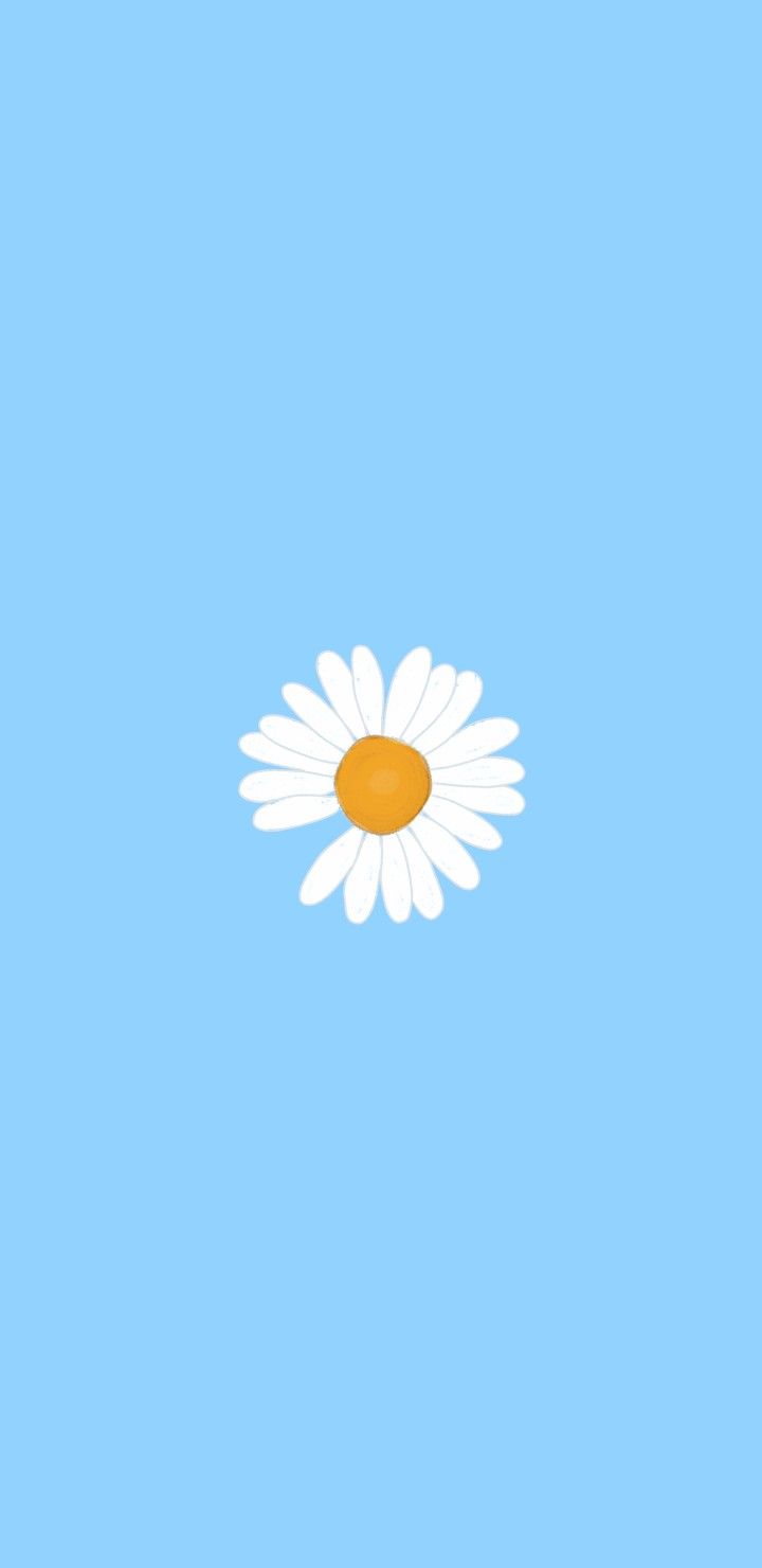 Blue Daisy Wallpapers Wallpaper Cave