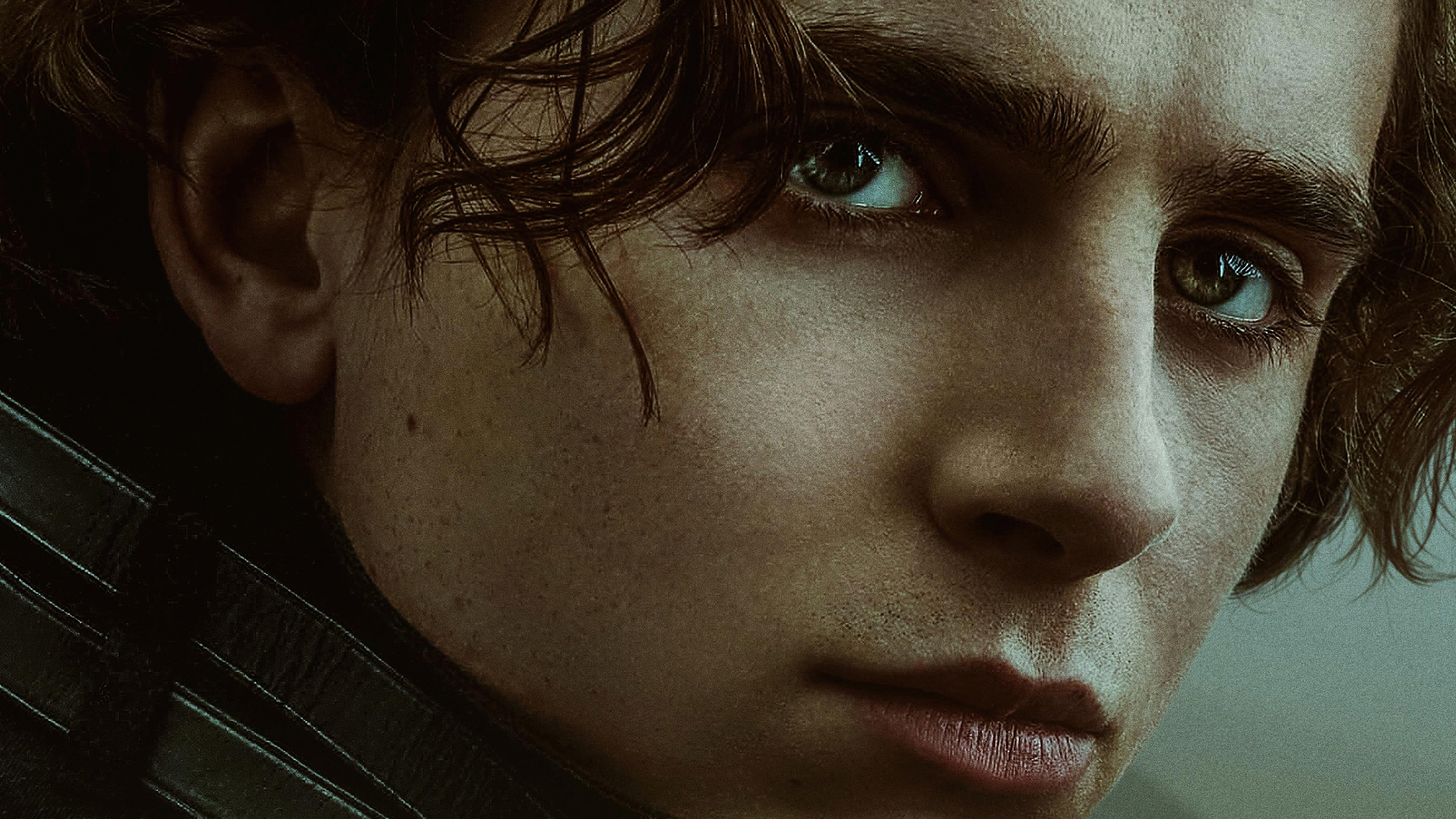 Timothe Chalamet 4k Wallpapers Wallpaper Cave