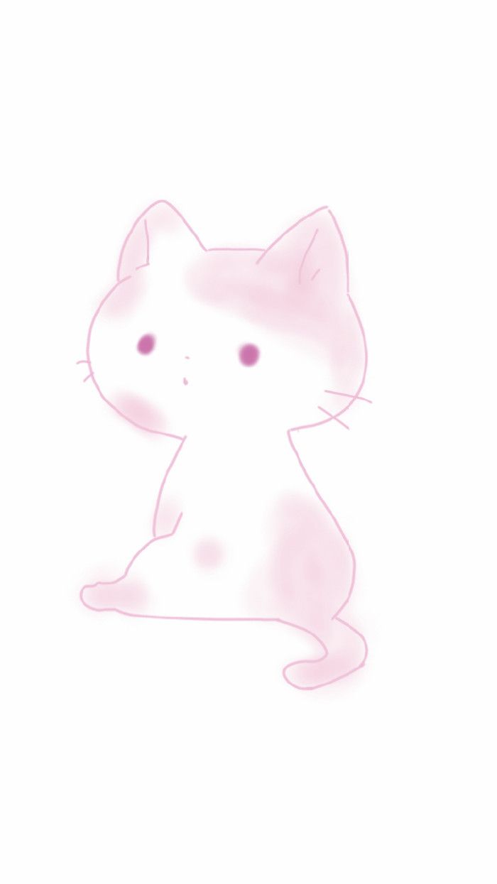 Korean Cats Wallpapers Wallpaper Cave