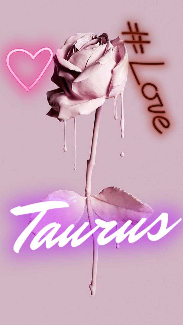 Discover your zodiac sign with taurus cute wallpaper