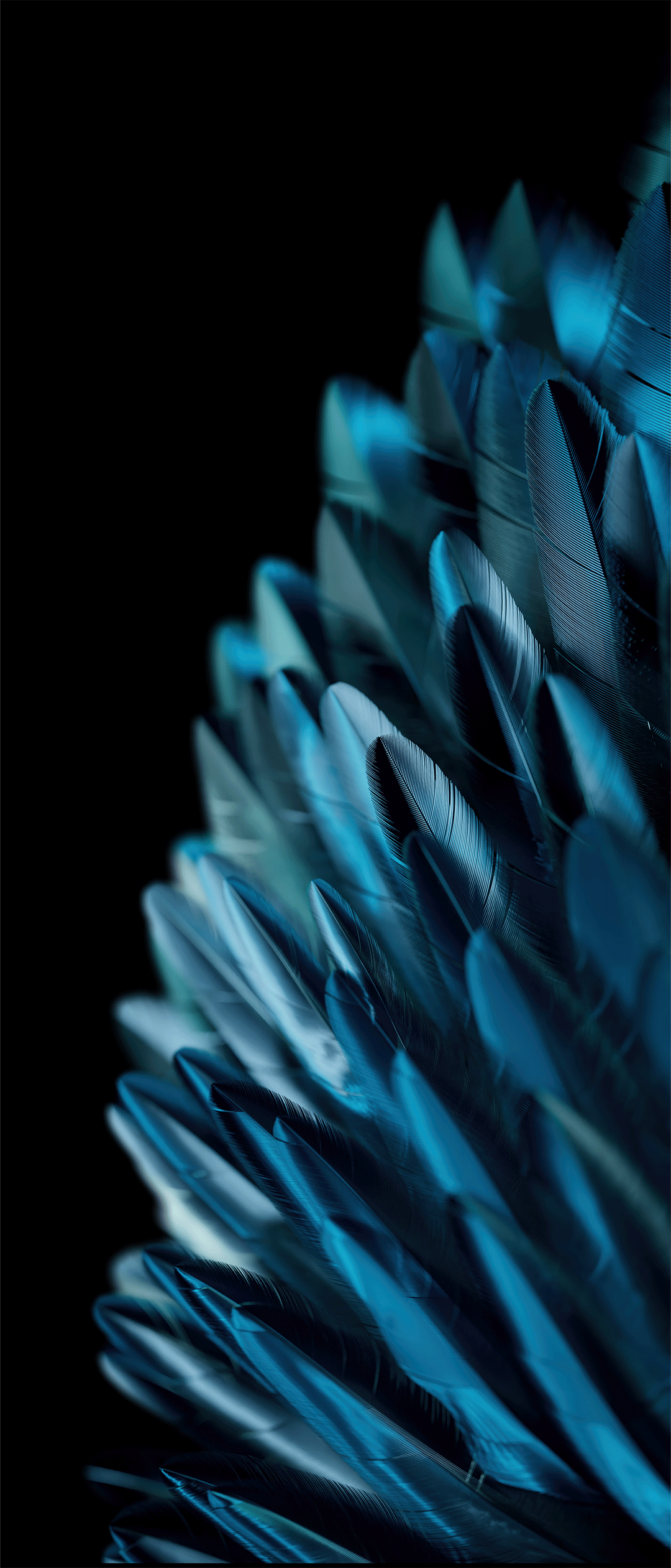 Oppo Find N2 Flip Wallpapers Wallpaper Cave