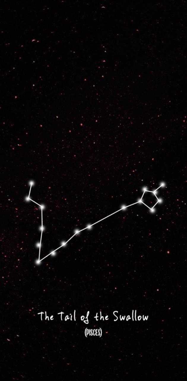 Cute Pisces Wallpapers Wallpaper Cave