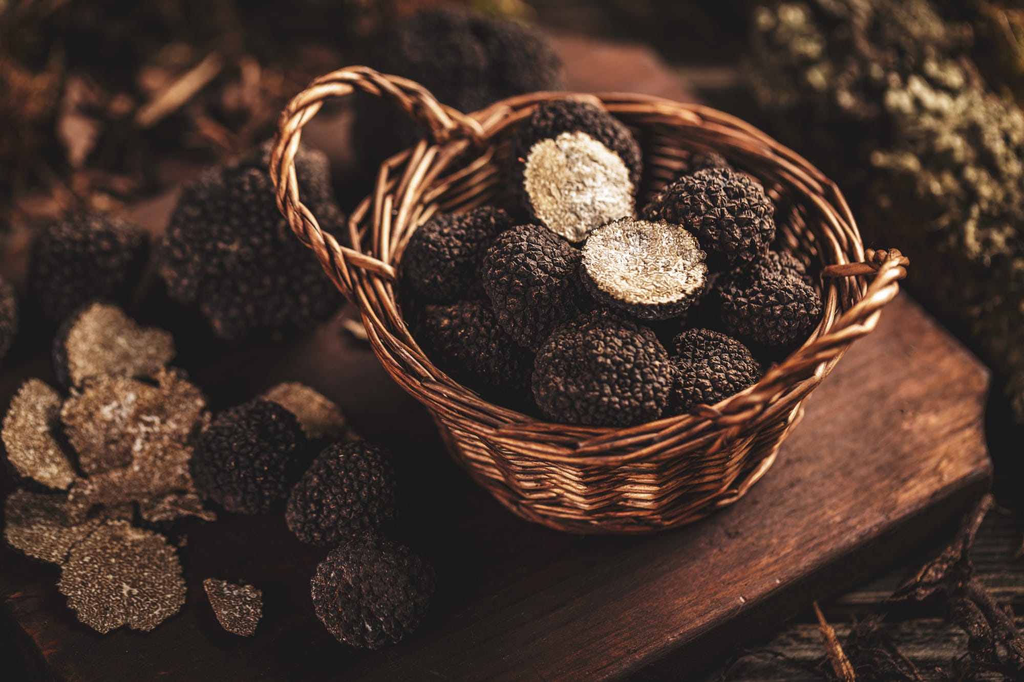 Truffle Wallpapers Wallpaper Cave