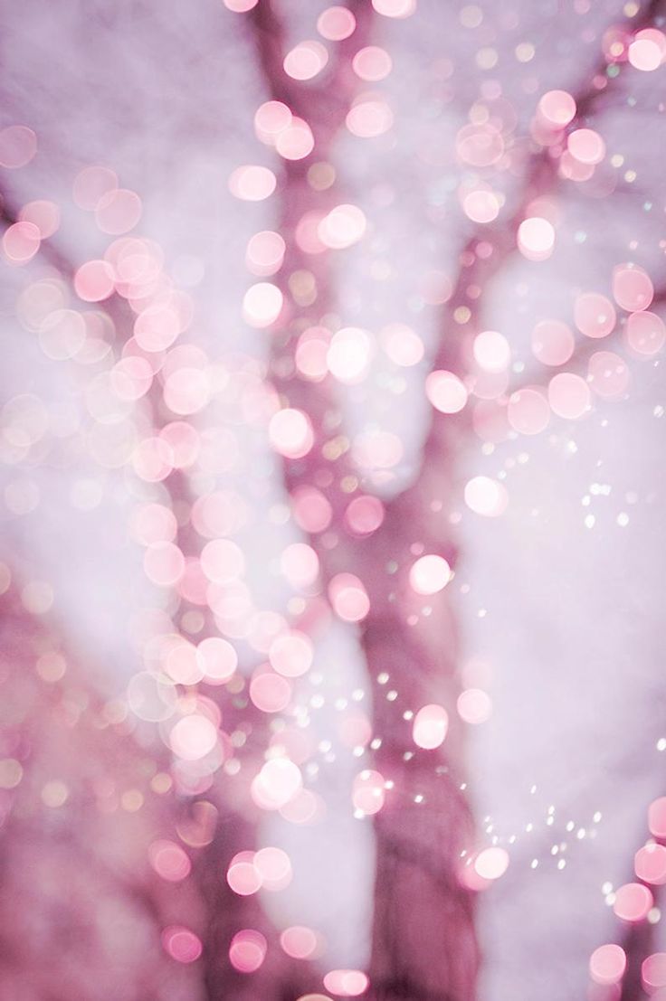 Pink Fairy Lights Wallpapers Wallpaper Cave