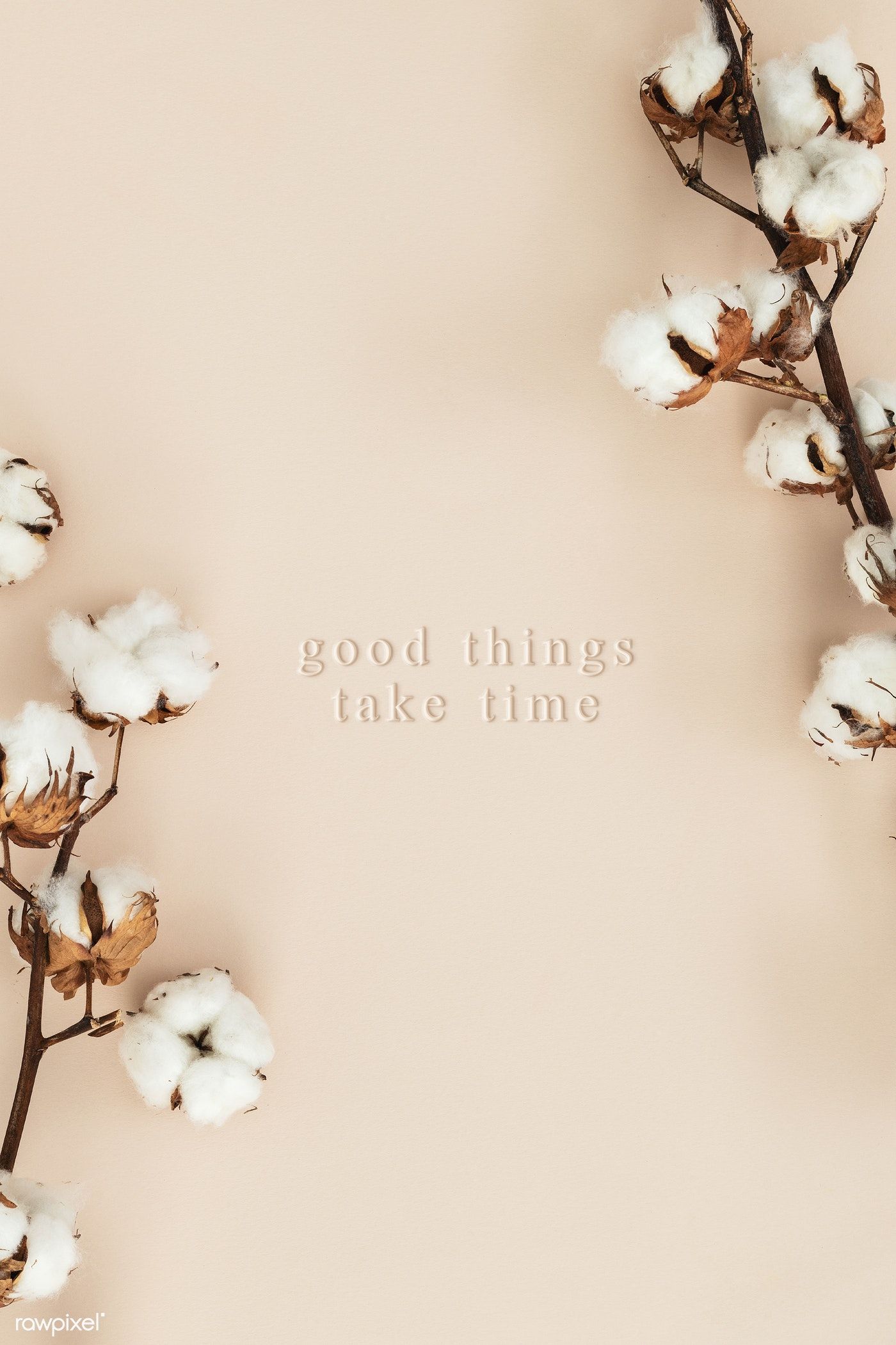 Beige Flower Wallpapers Wallpaper Cave