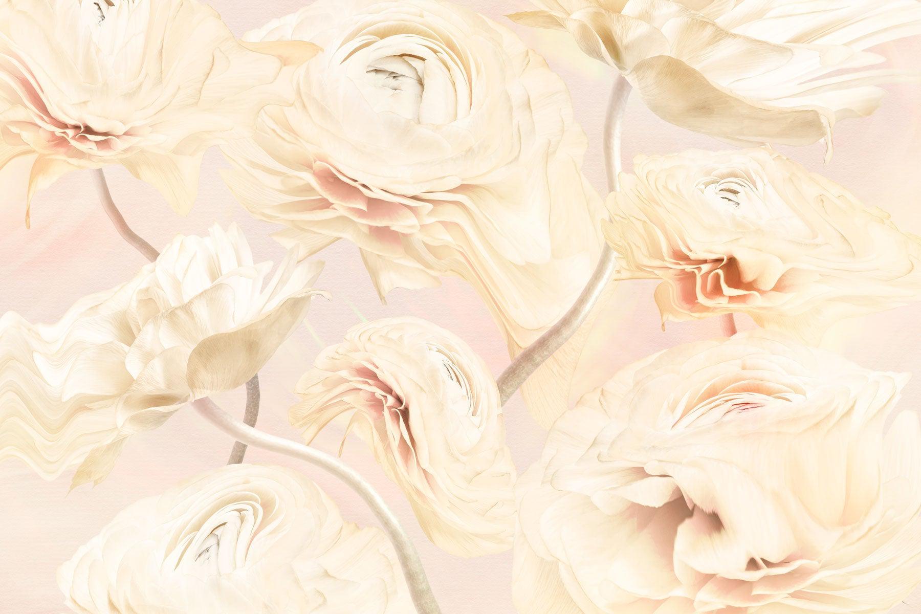 Beige Flower Wallpapers Wallpaper Cave