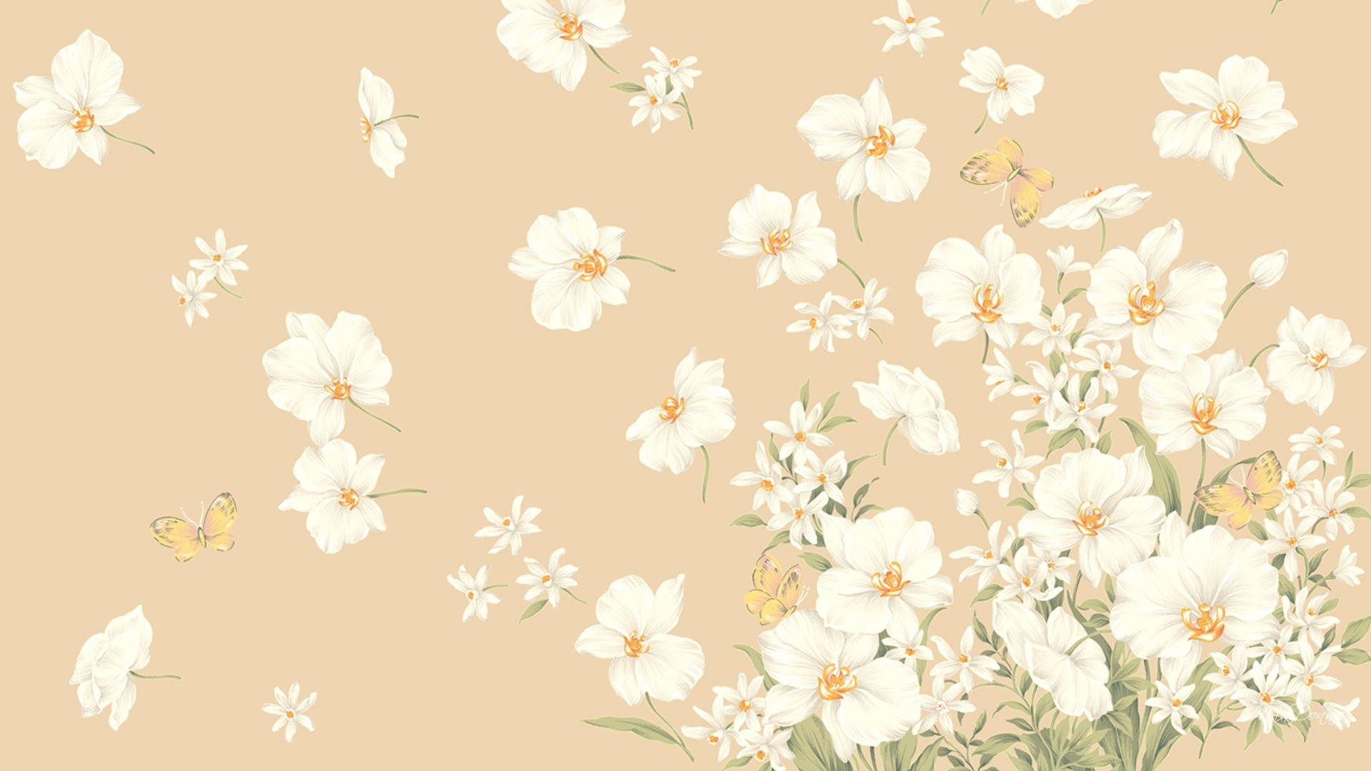 Beige Flower Wallpapers Wallpaper Cave