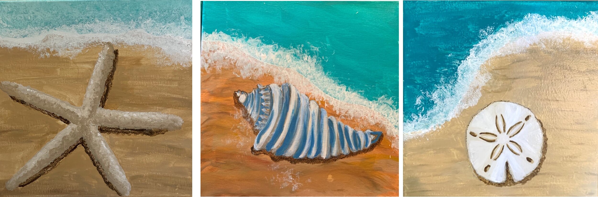 Sand Dollar Wallpapers Wallpaper Cave