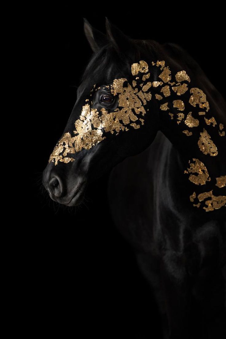 Golden Horse Wallpapers Wallpaper Cave