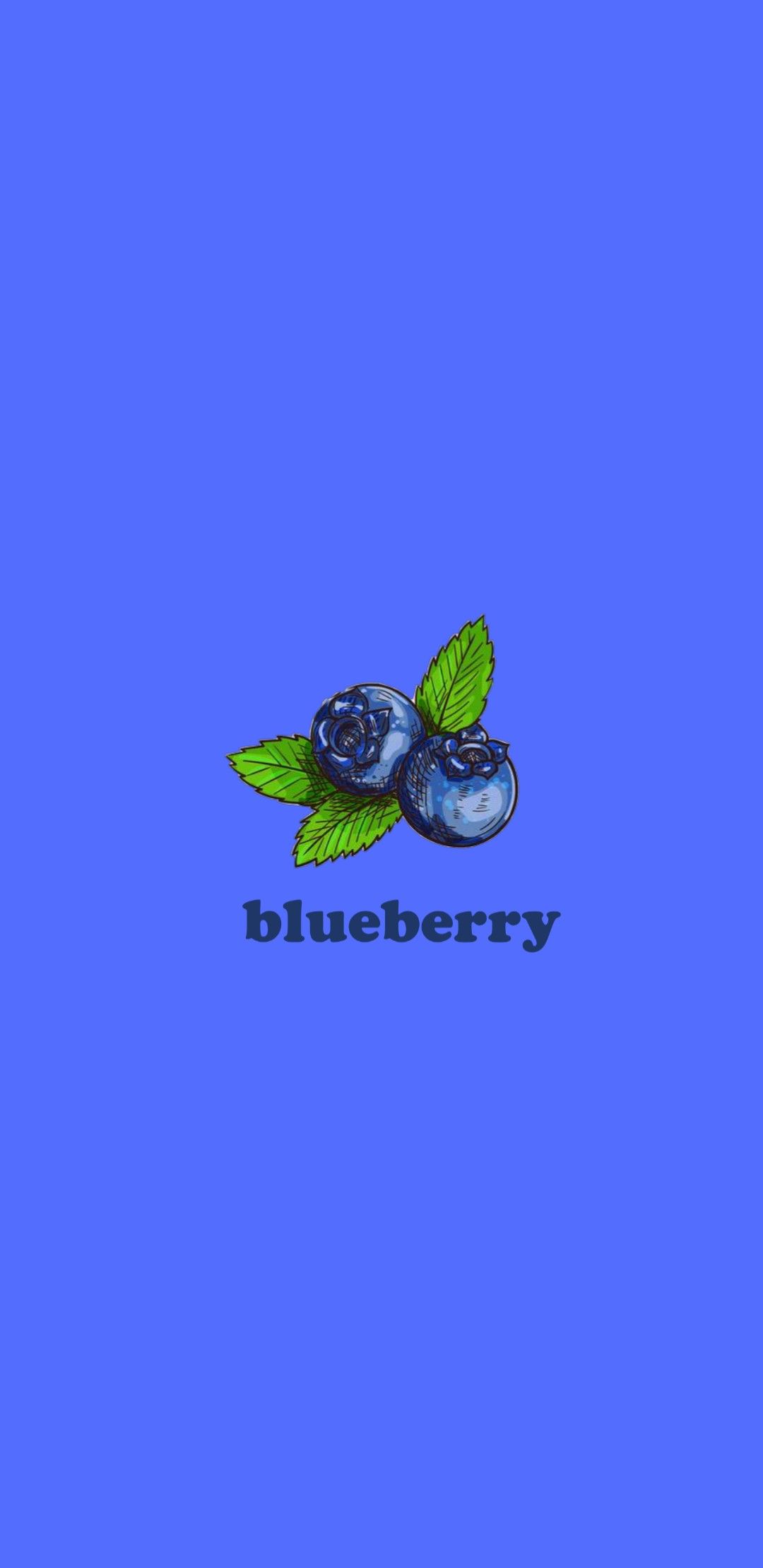 Cute Blueberry Wallpapers Wallpaper Cave