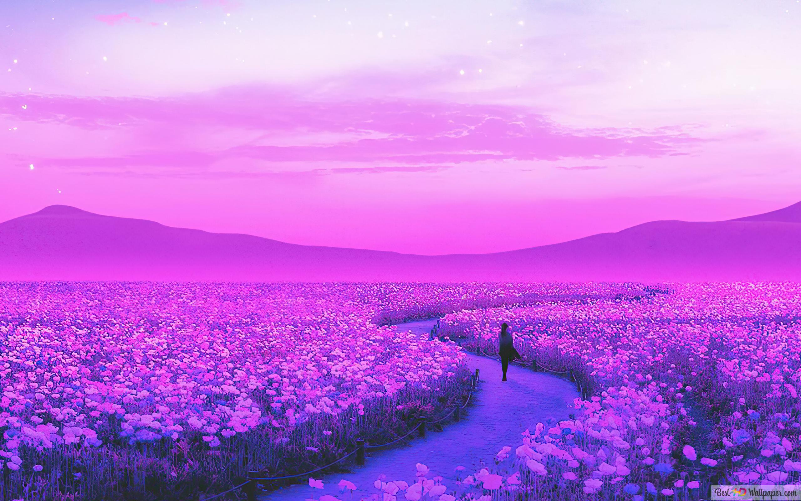 Anime Flower Field Wallpapers Wallpaper Cave