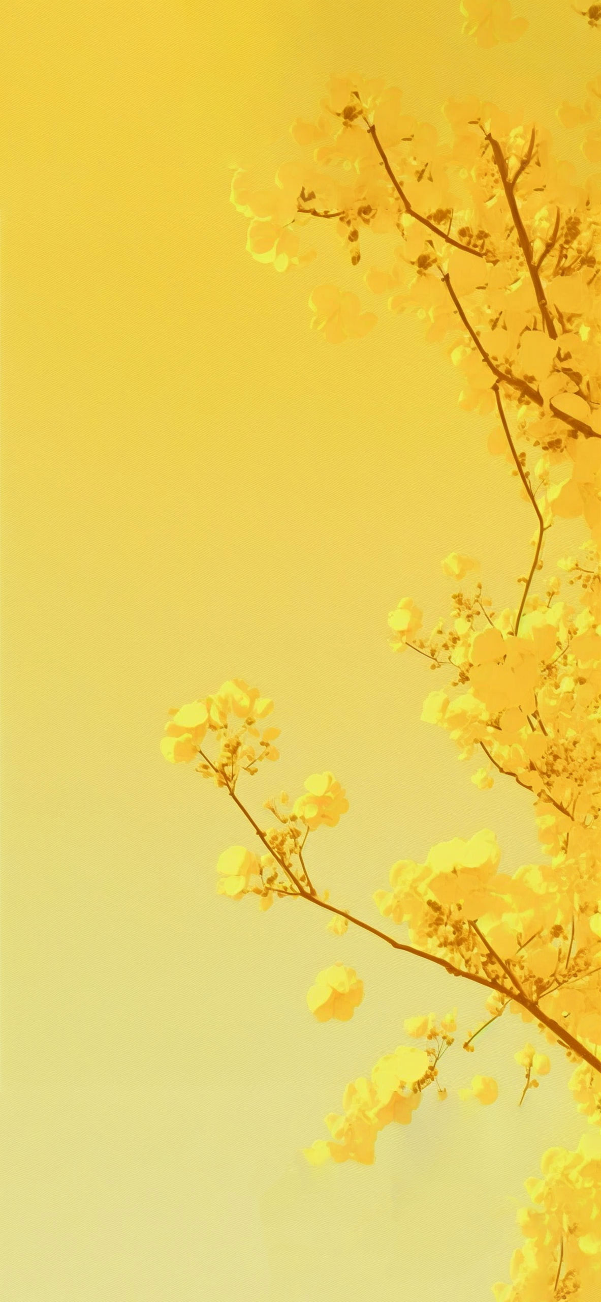 Spring Aesthetic Yellow Wallpapers Wallpaper Cave