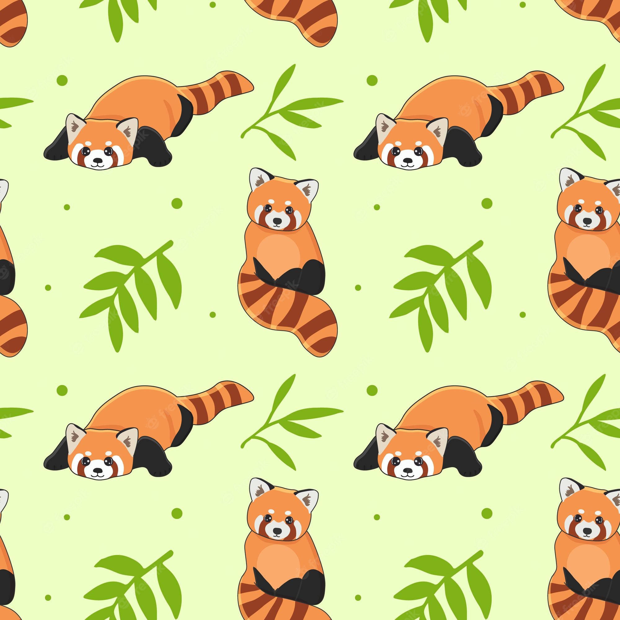 Kawaii Red Panda Wallpapers Wallpaper Cave