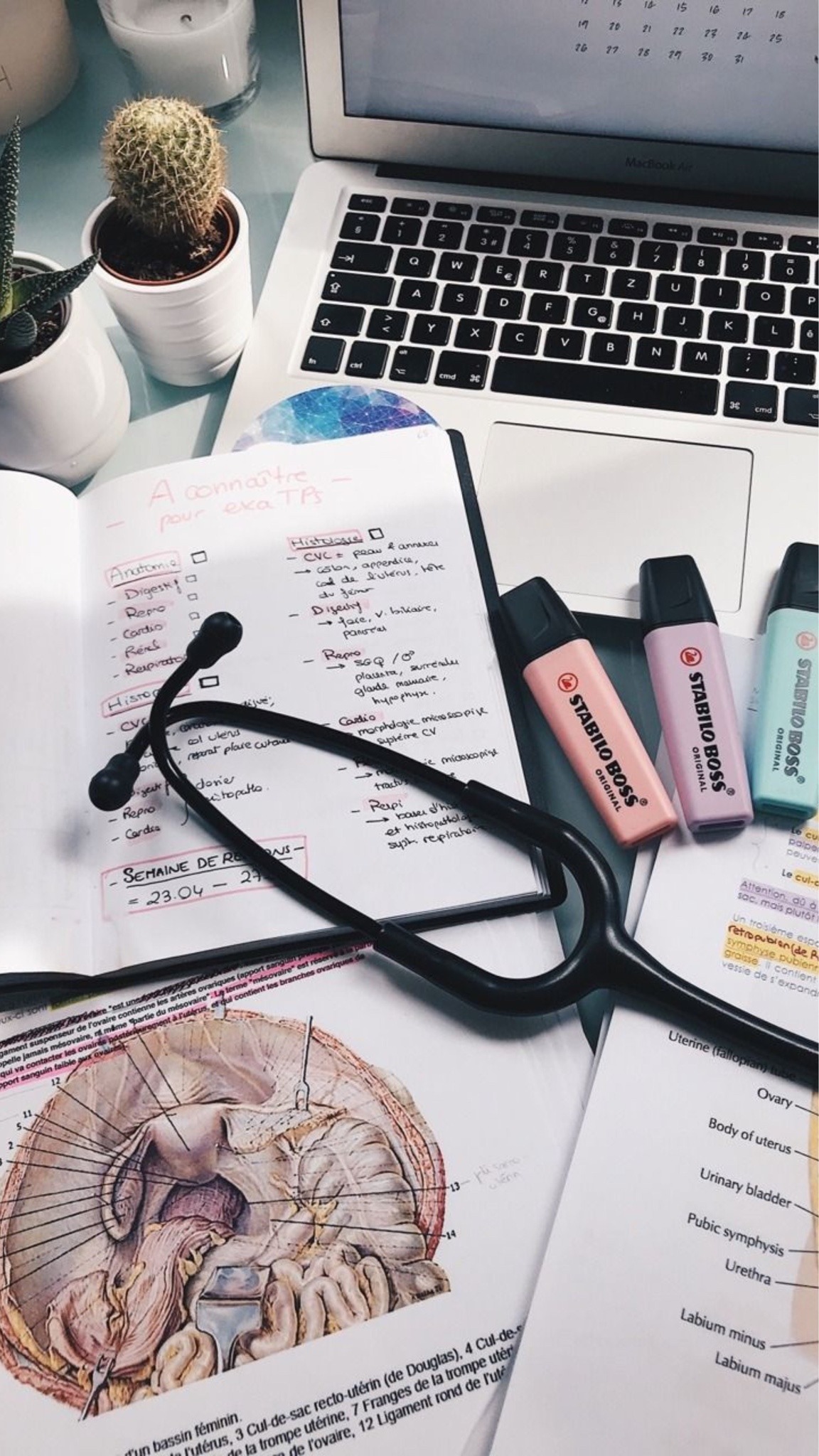 Future Doctor Aesthetic Wallpapers Wallpaper Cave