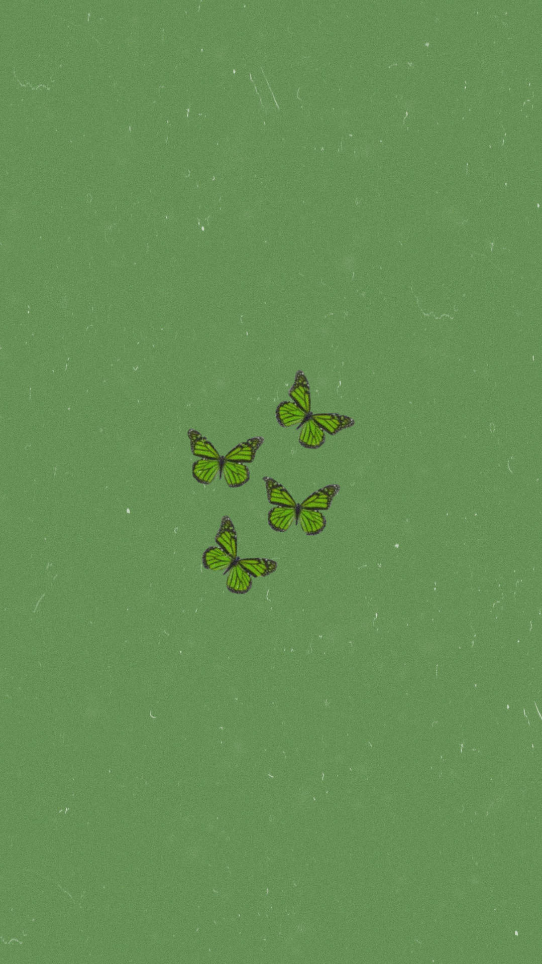 Sage Green iPhone Wallpapers Wallpaper Cave