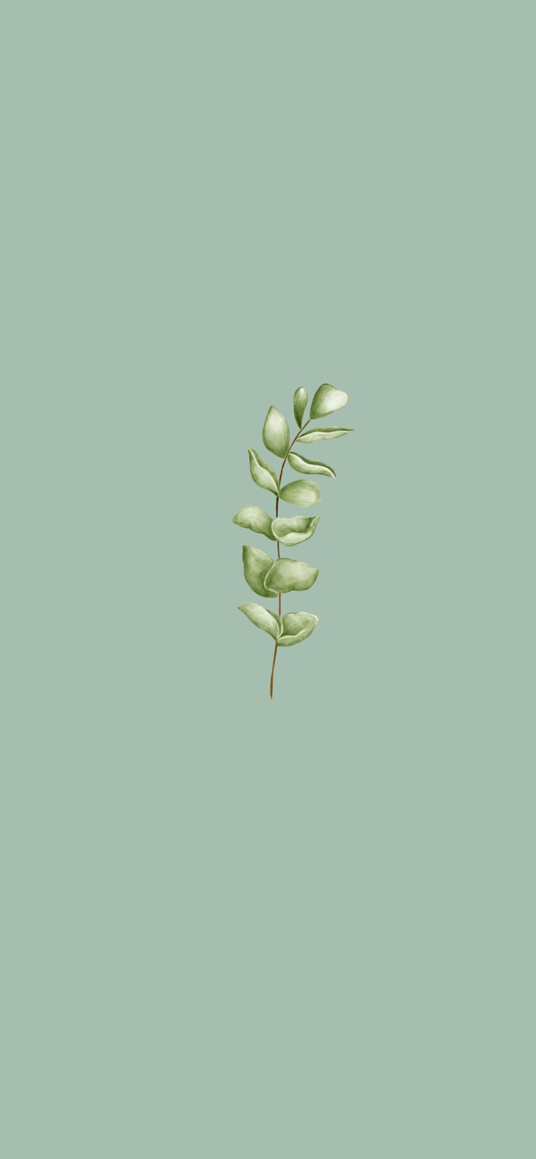 Sage Green iPhone Wallpapers Wallpaper Cave