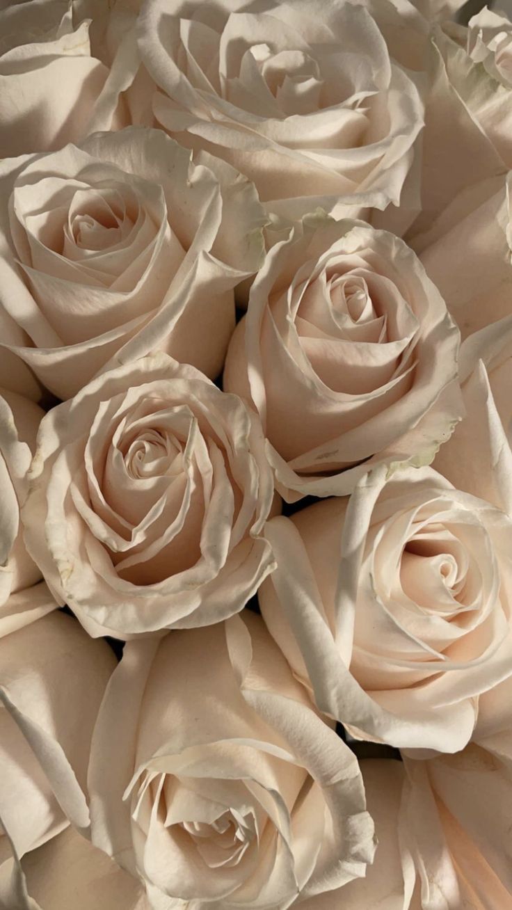 Aesthetic Brown Flowers Wallpapers Wallpaper Cave