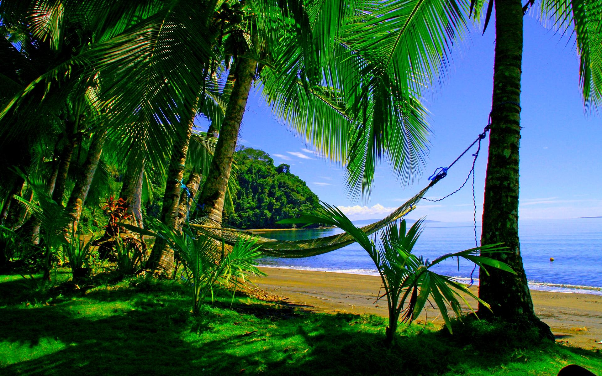 Green Beach Wallpapers Wallpaper Cave