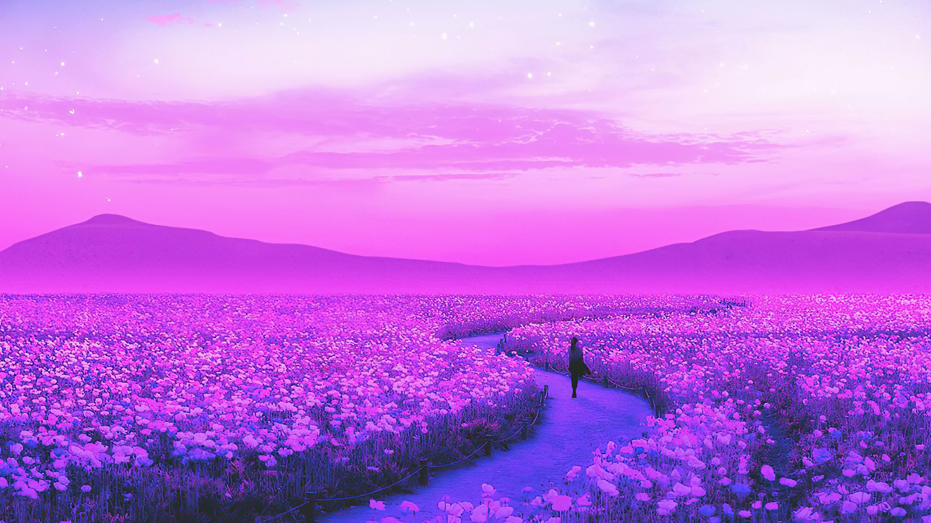 Lavender Farm Wallpapers Wallpaper Cave