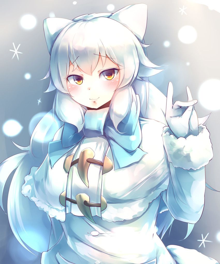 Kemono Friends Arctic Fox Wallpapers Wallpaper Cave