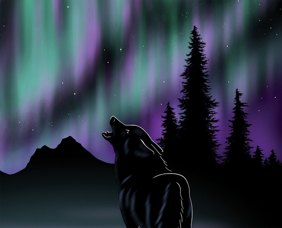 Wolf Northern Lights Wallpapers Wallpaper Cave