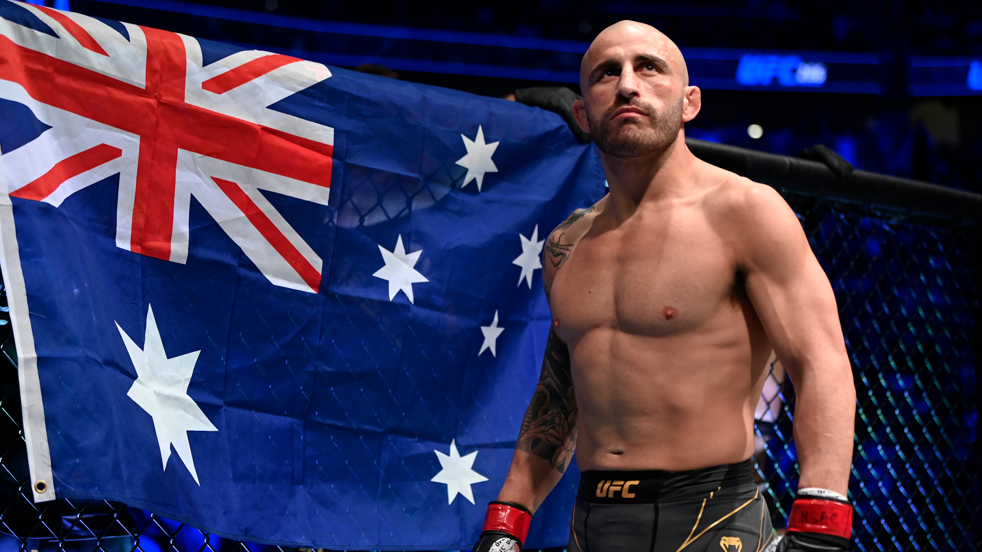 Alexander Volkanovski Wallpapers Wallpaper Cave