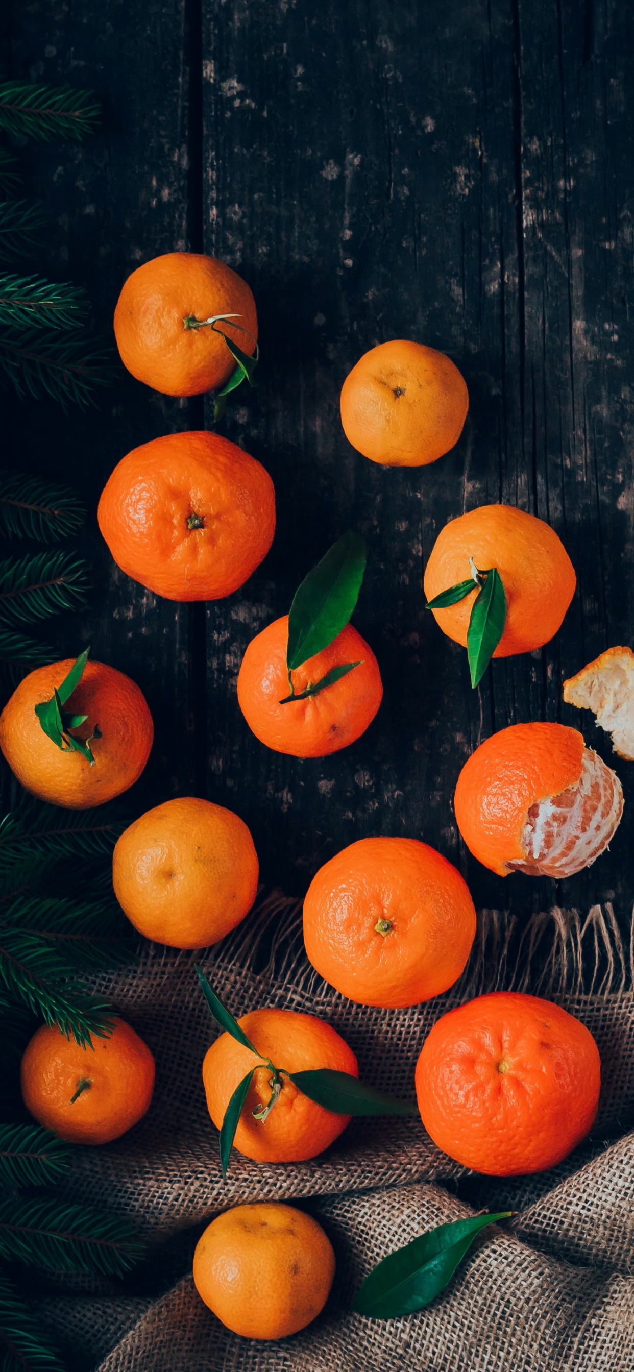 Orange Food Wallpapers Wallpaper Cave