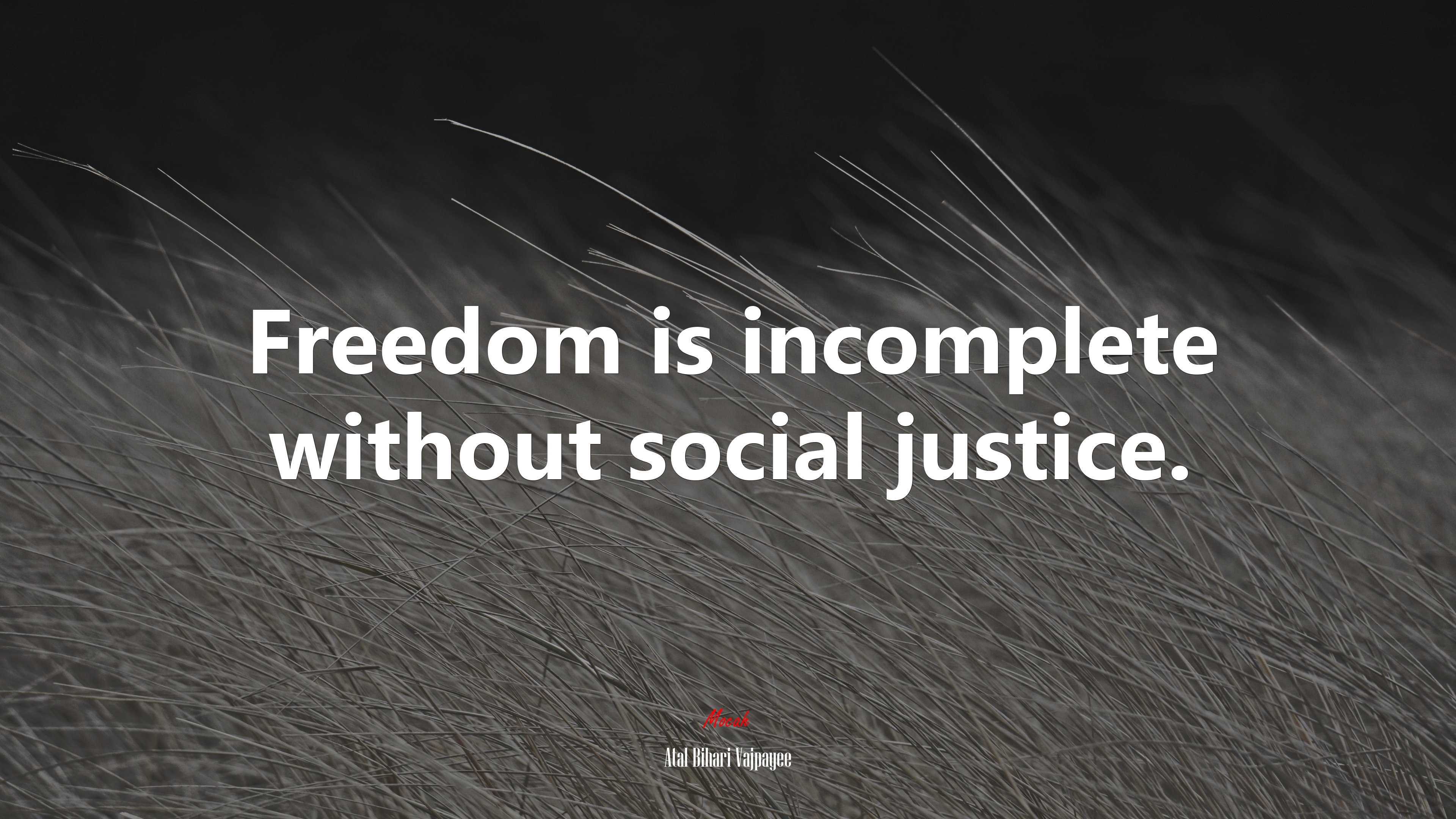 Social Justice Wallpapers Wallpaper Cave