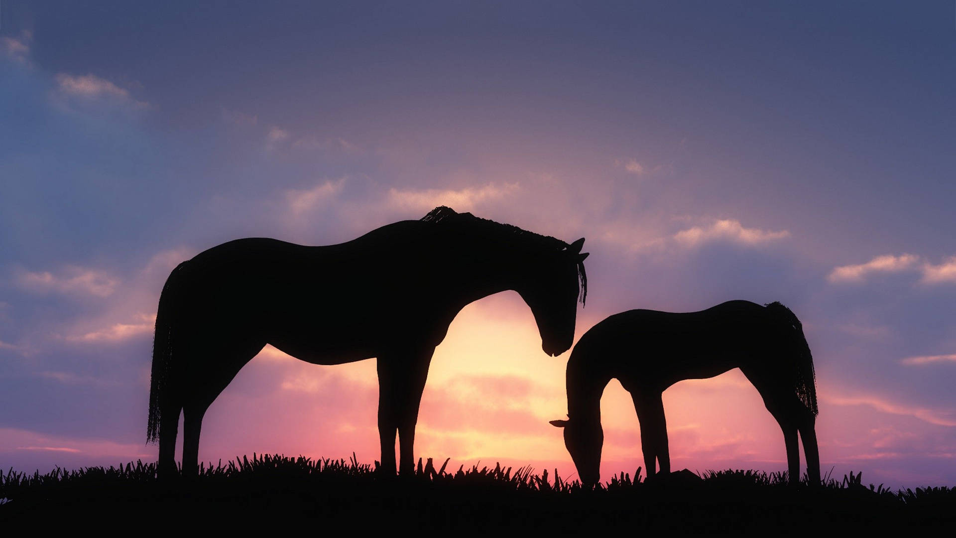 Pretty Horse Wallpapers Wallpaper Cave