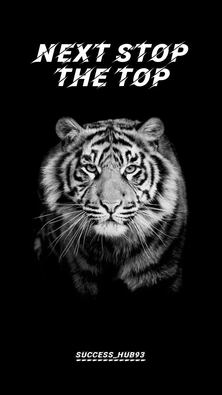 Tiger Quotes Wallpapers Wallpaper Cave