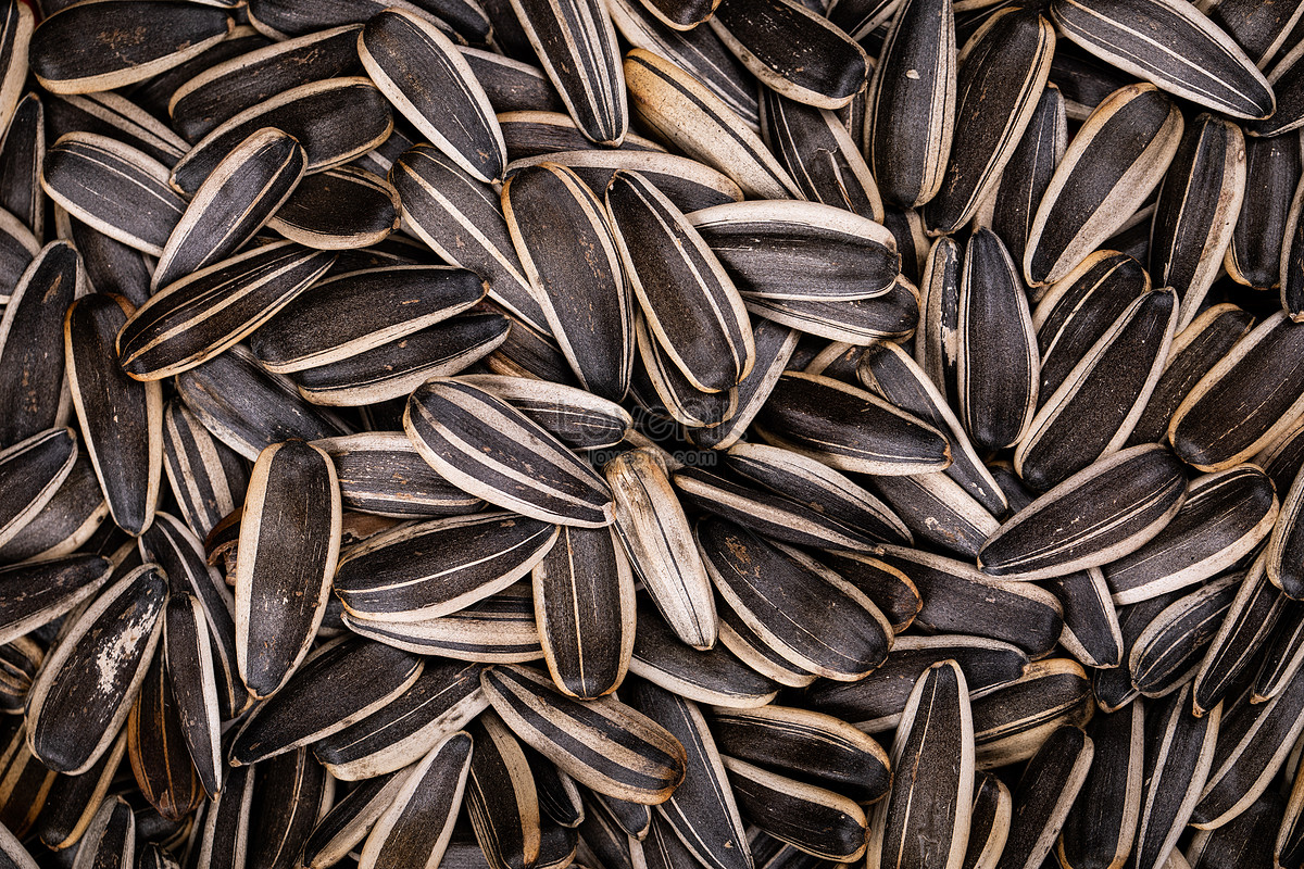 Sunflower Seeds Wallpapers Wallpaper Cave