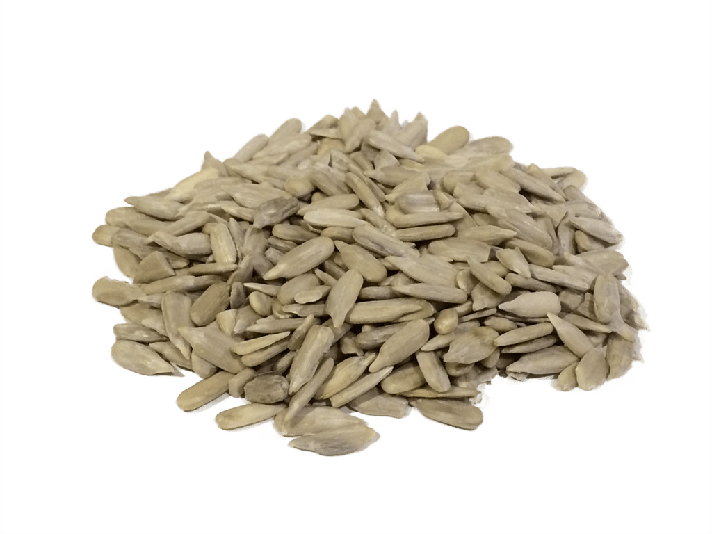 Sunflower Seeds Wallpapers Wallpaper Cave