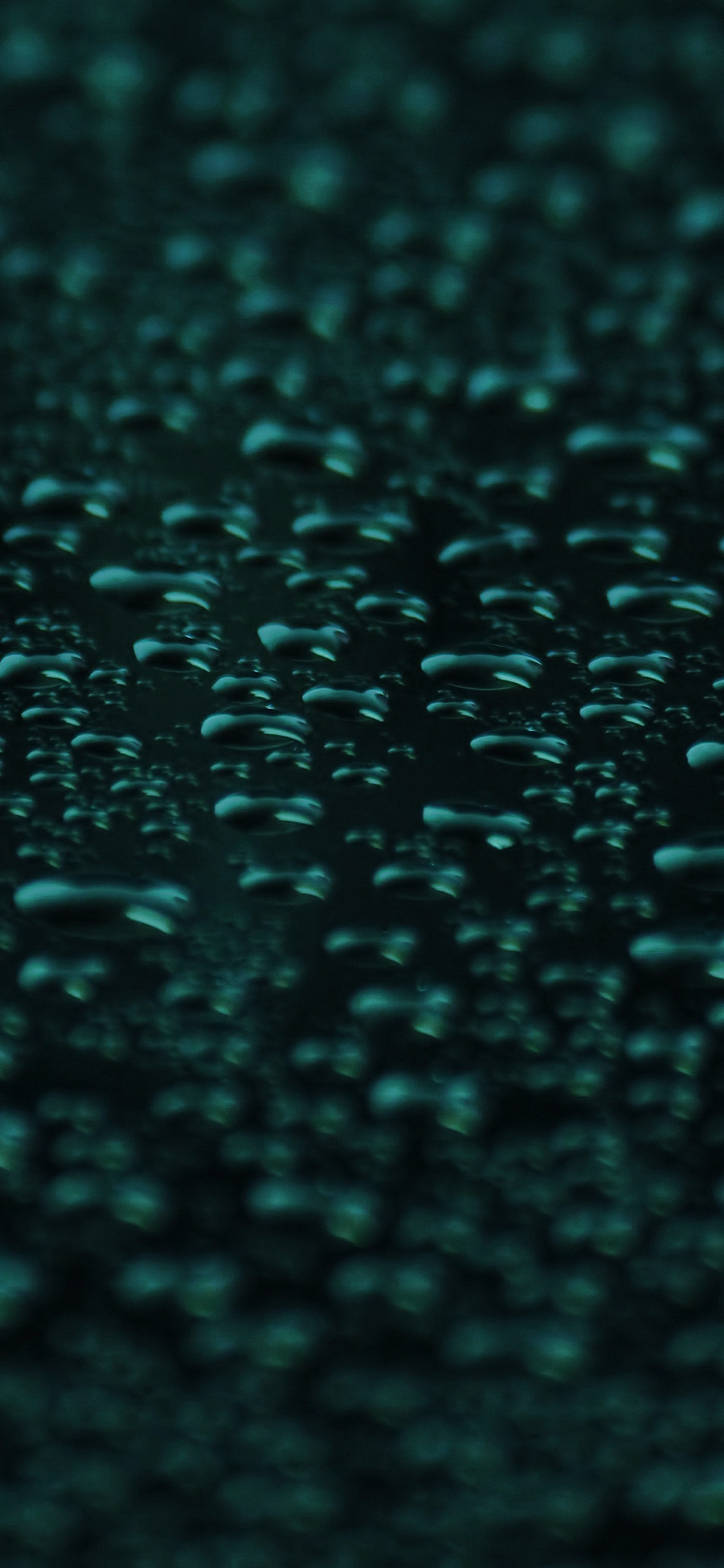 Hunter Green Wallpapers Wallpaper Cave