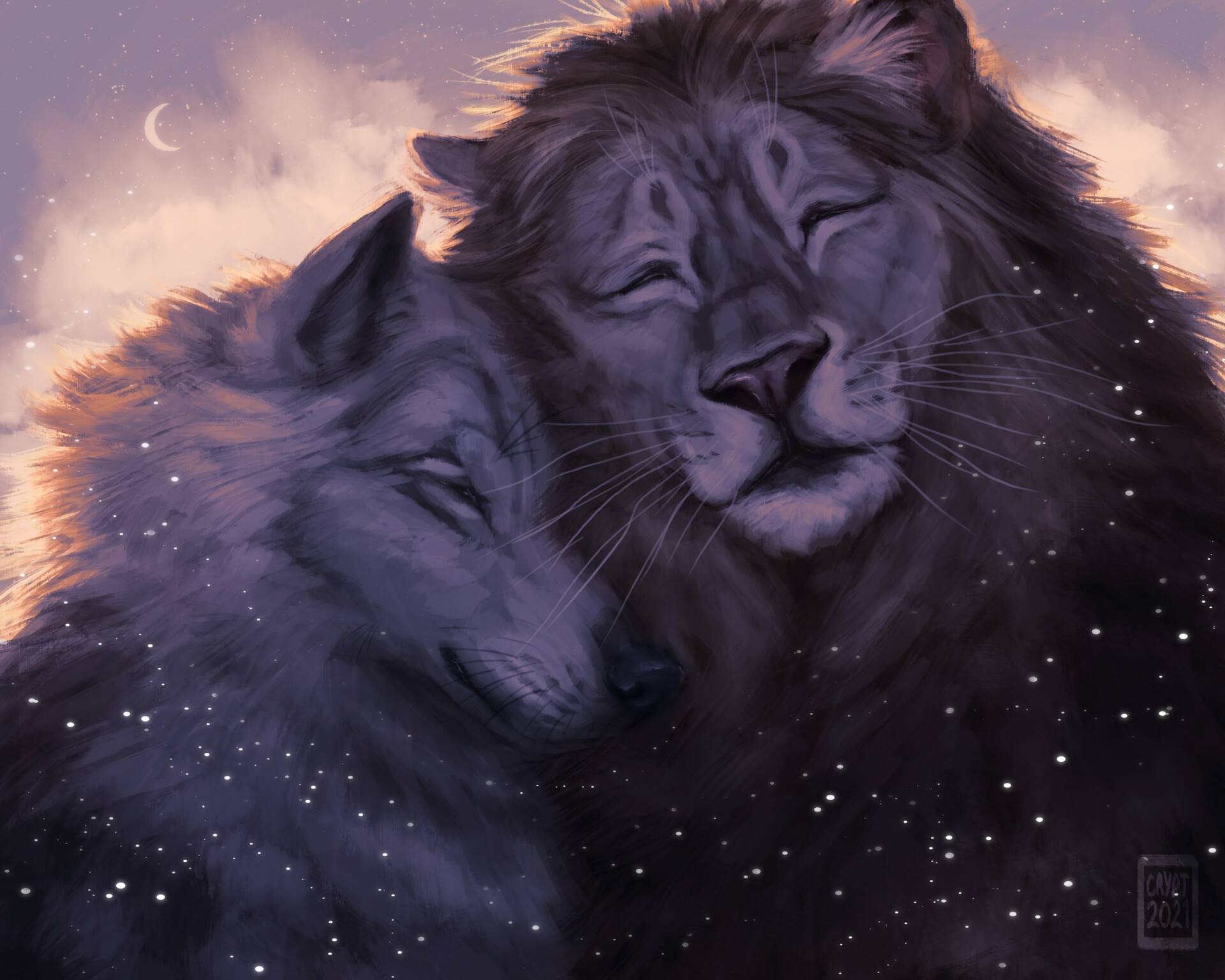Wolf And Lion Wallpapers Wallpaper Cave