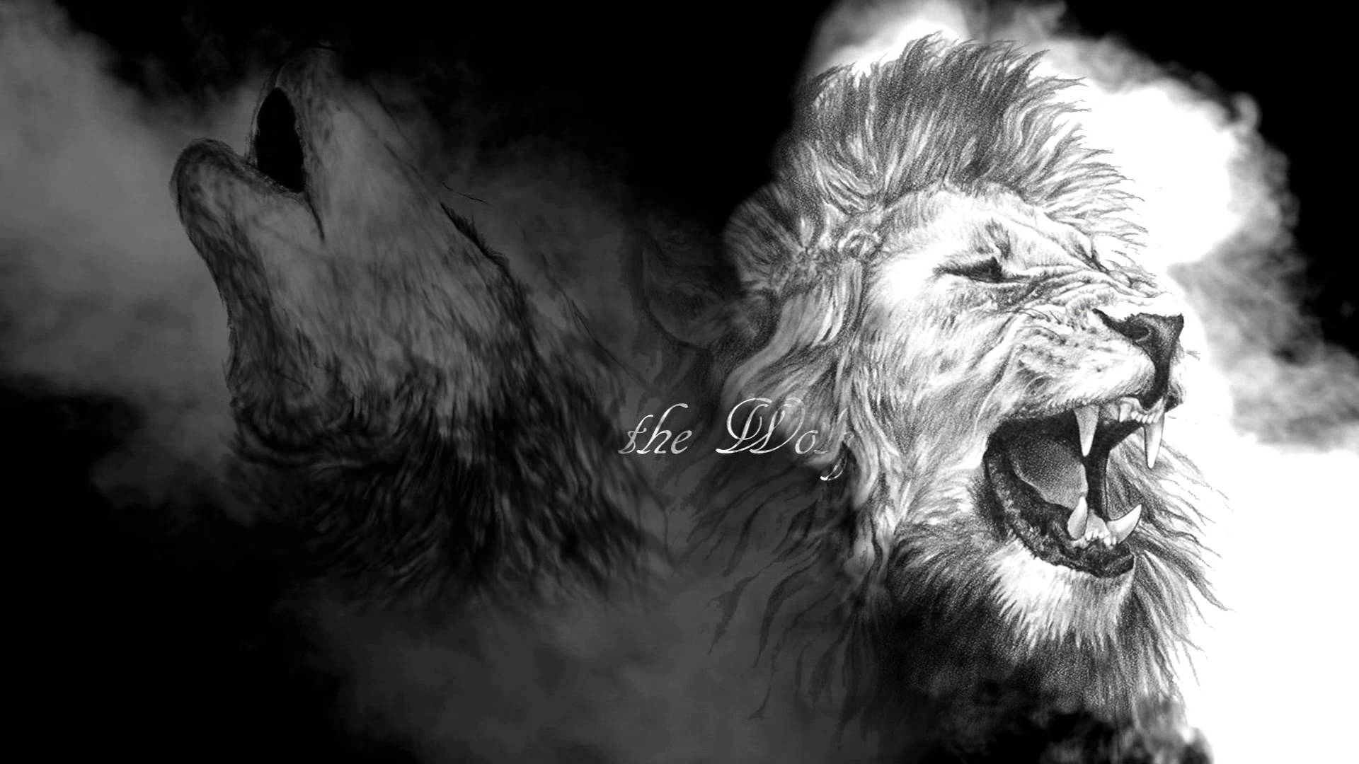 Wolf And Lion Wallpapers Wallpaper Cave