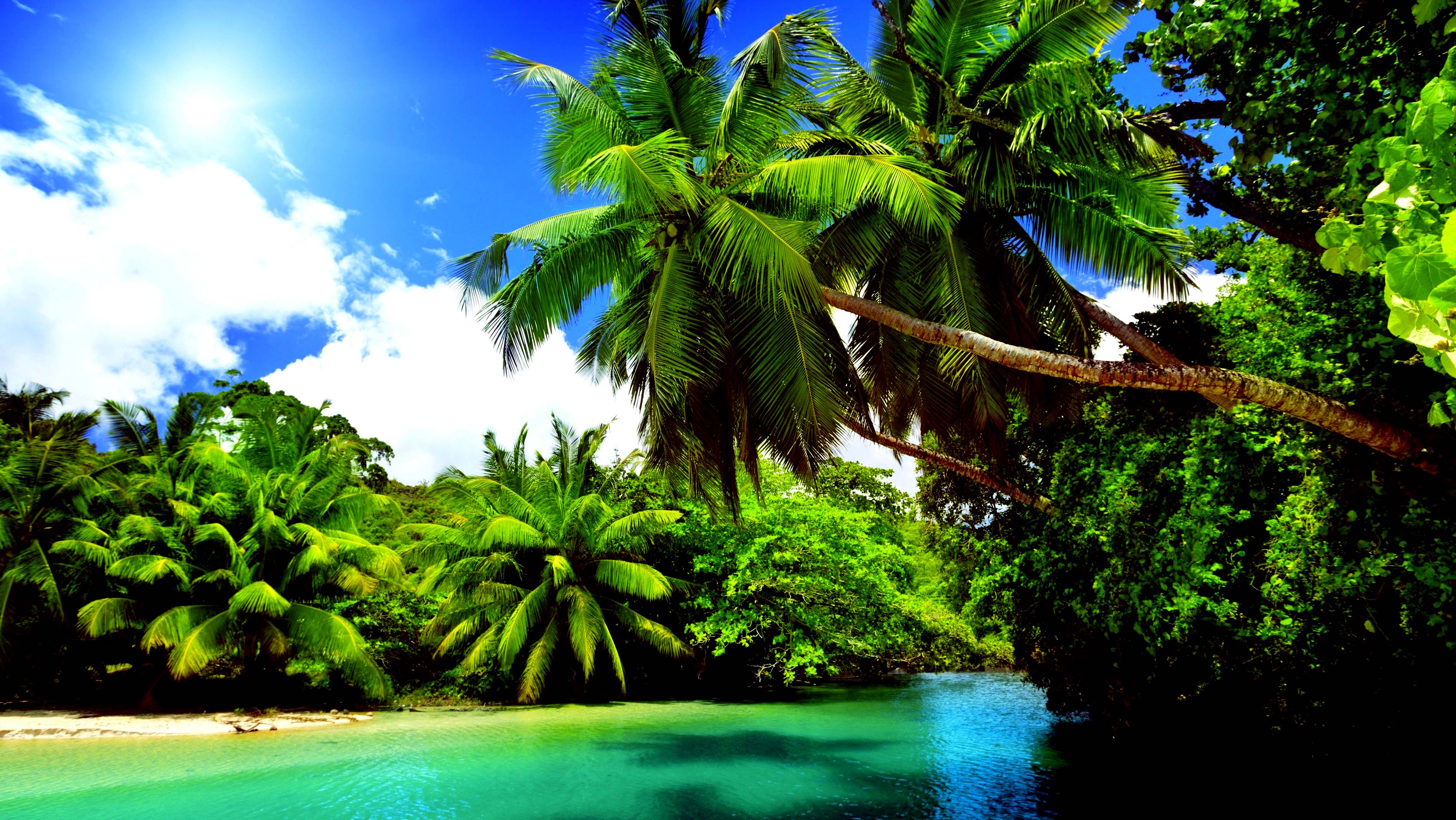 Beautiful Nature Summer Wallpapers Wallpaper Cave