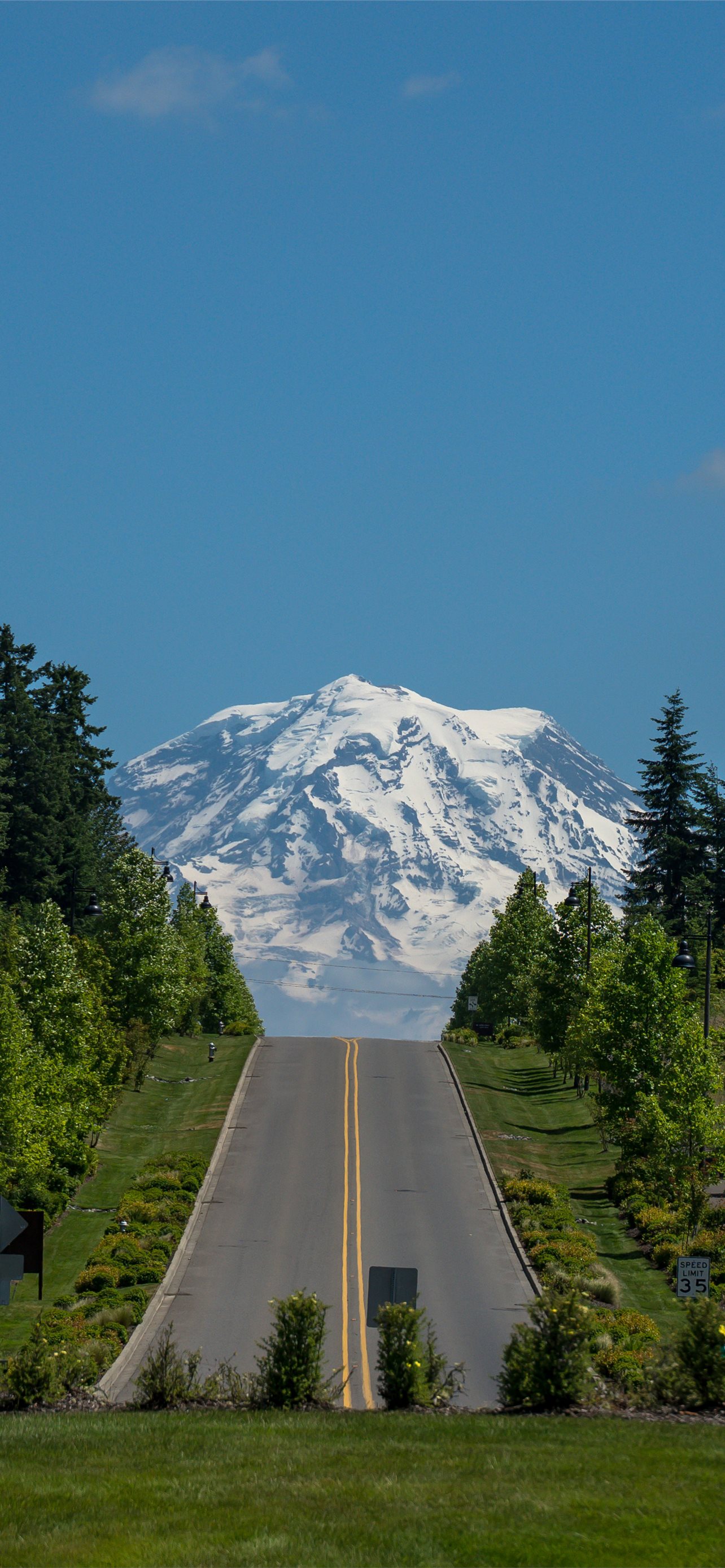 Mount Rainier National Park HD Wallpapers Wallpaper Cave