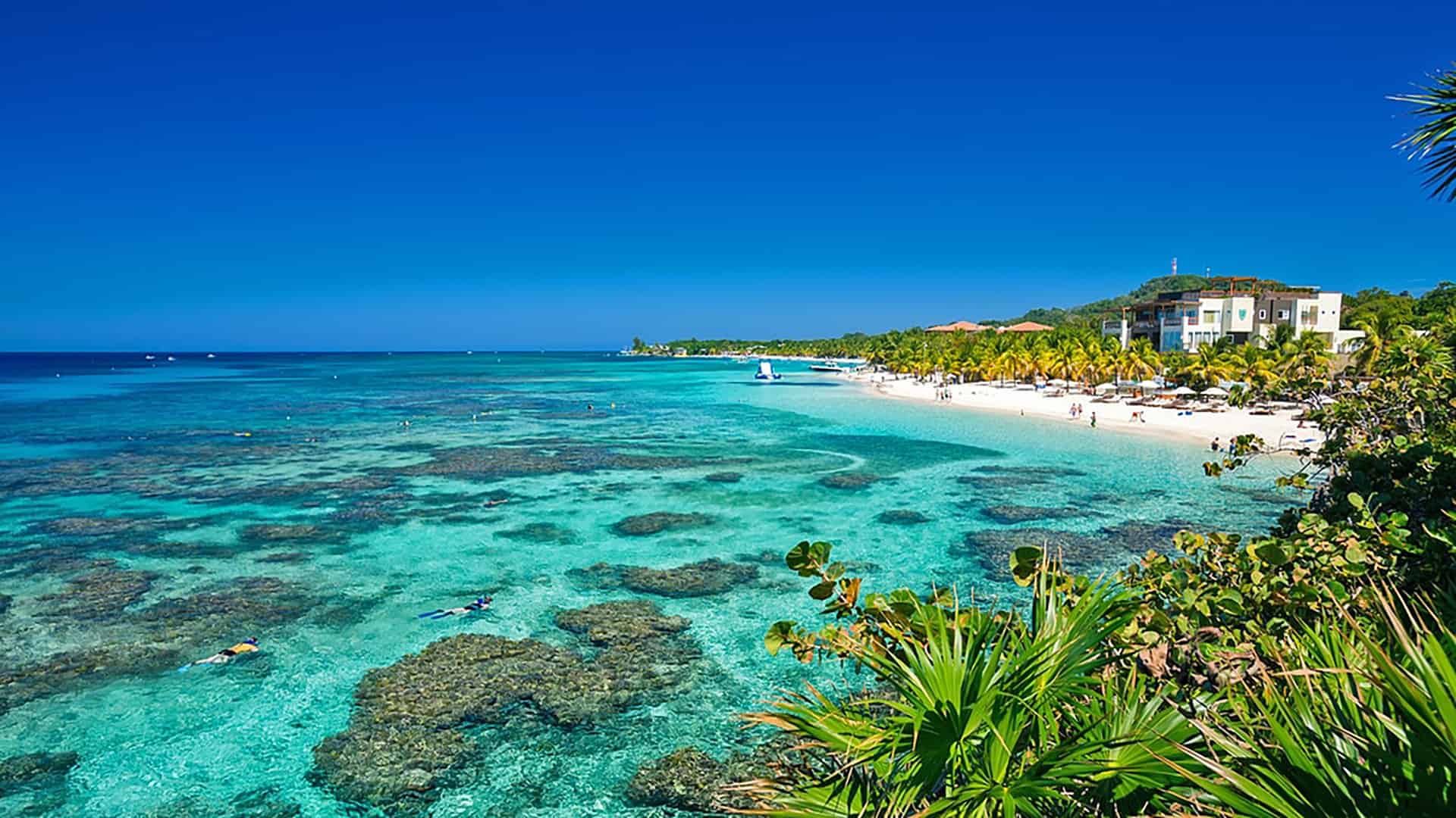 Roatán Wallpapers Wallpaper Cave