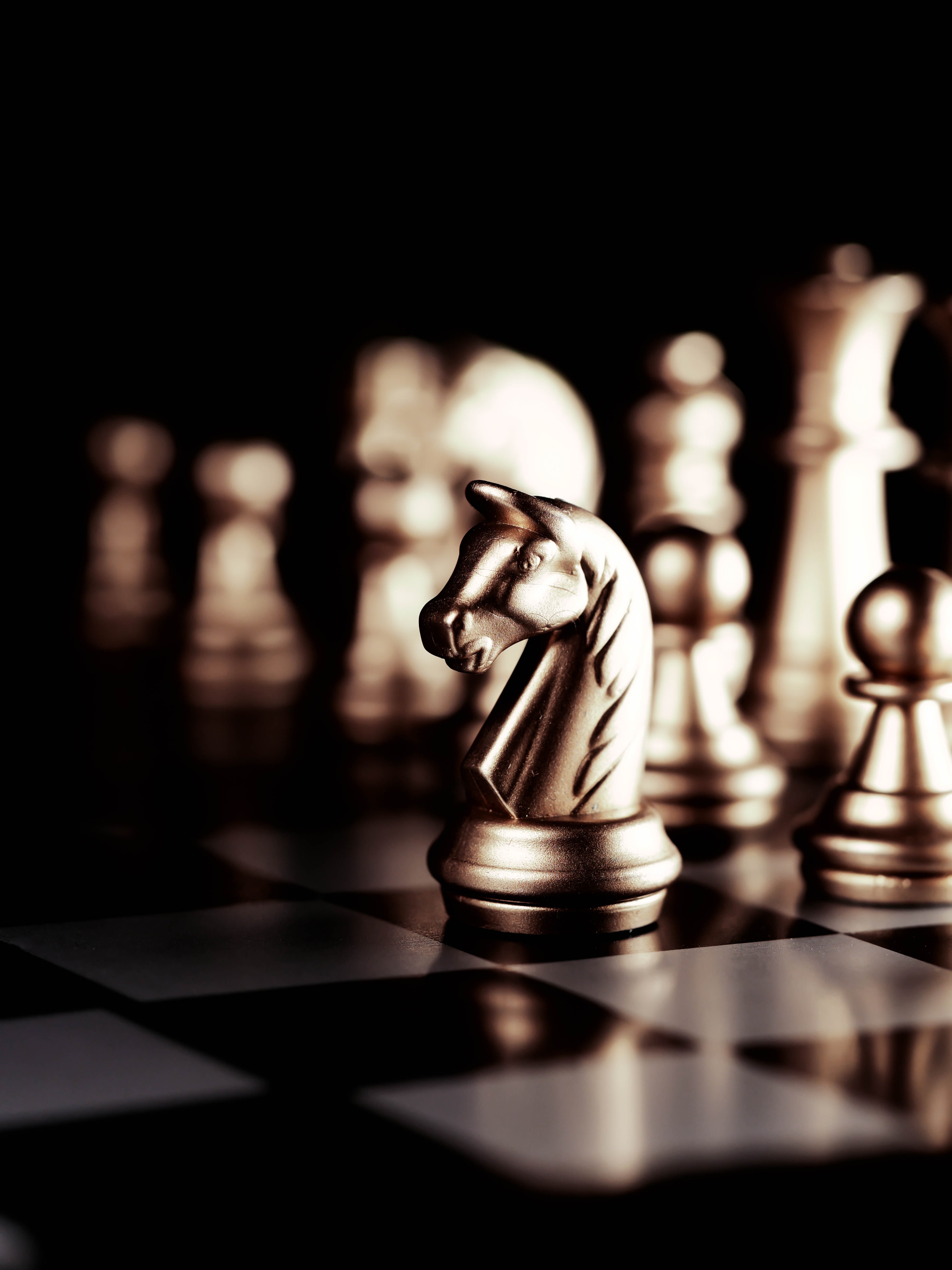 Chess Horse Wallpapers Wallpaper Cave