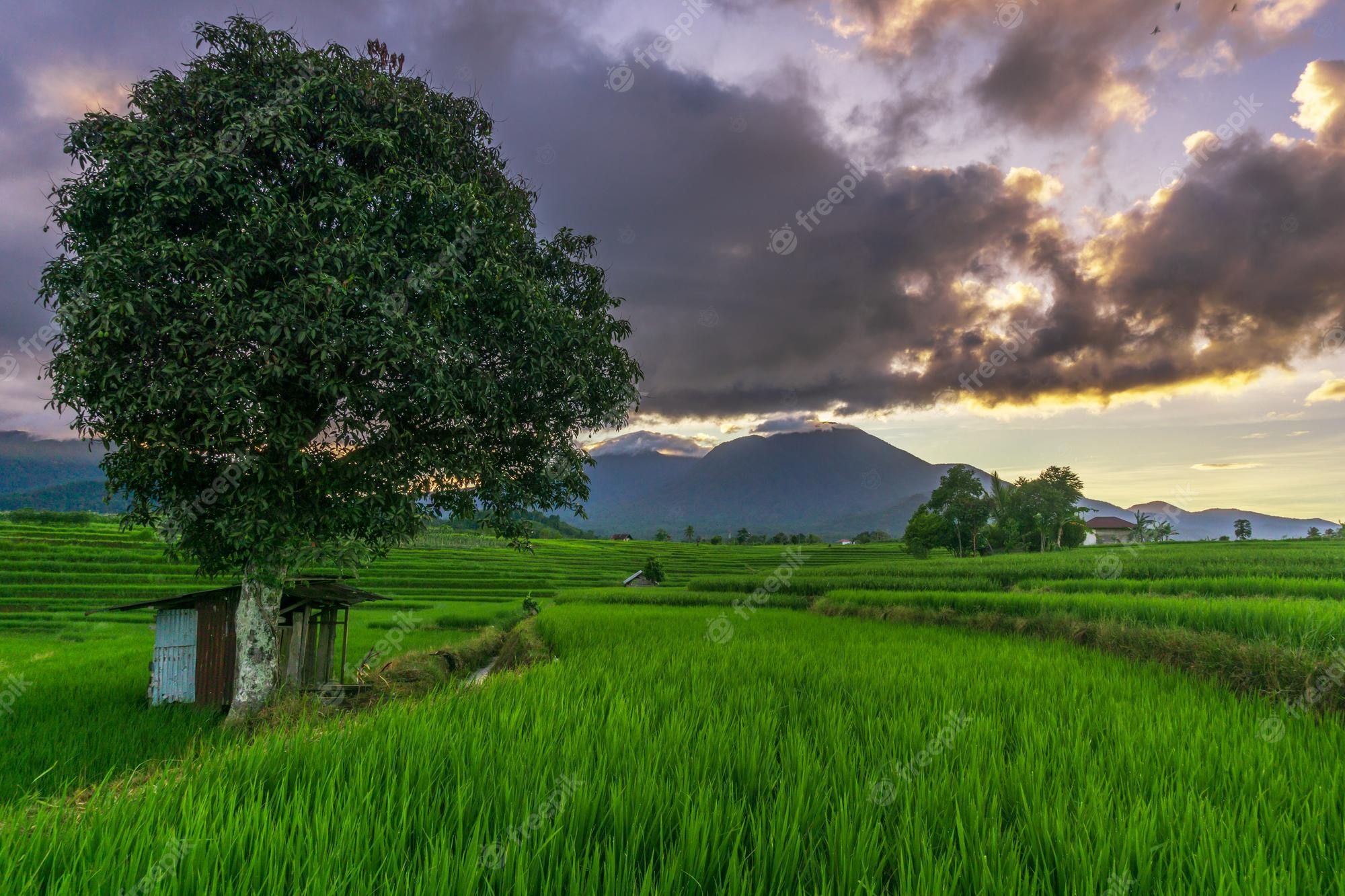 Green Village Wallpapers Wallpaper Cave