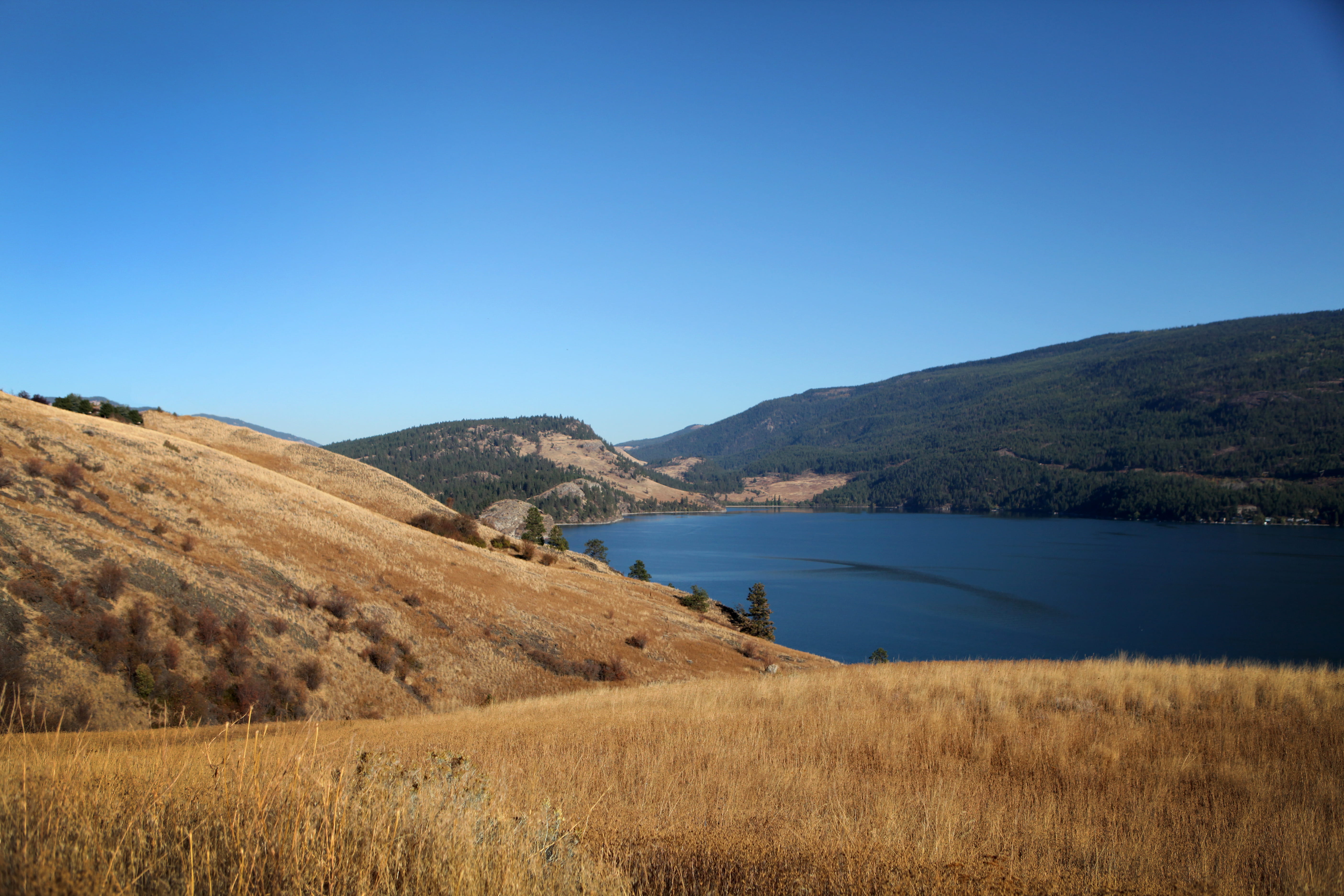 Kelowna Wallpapers Wallpaper Cave