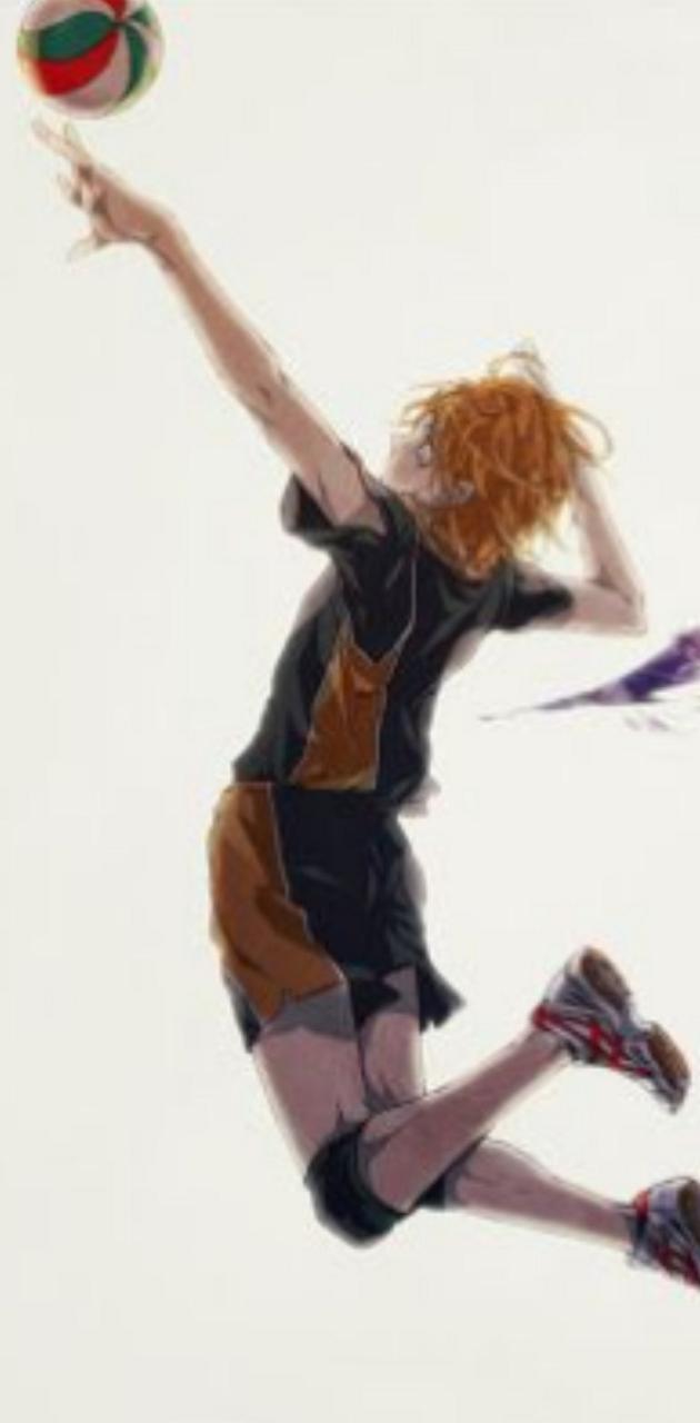 Volleyball Spike Wallpapers Wallpaper Cave