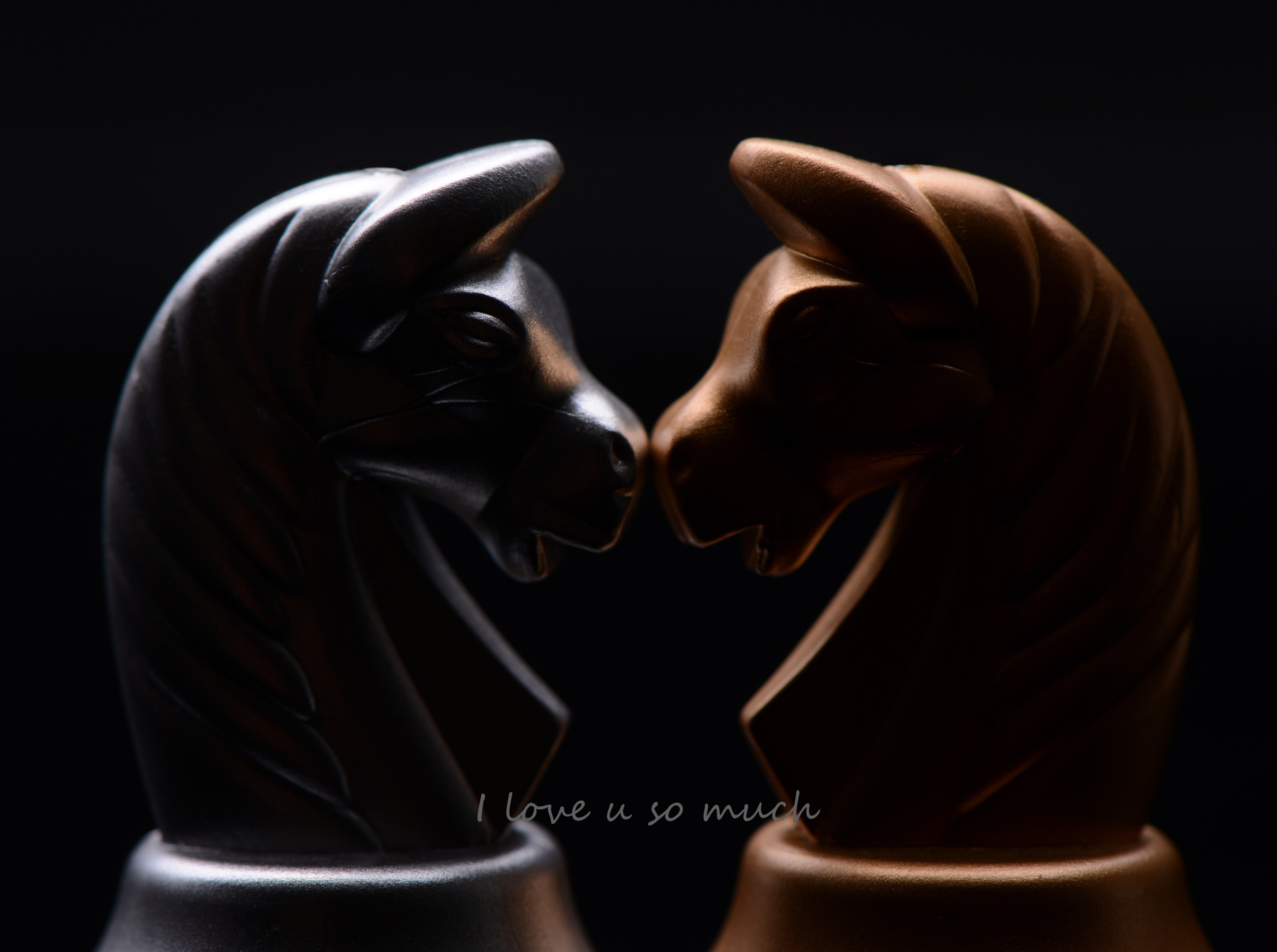 Chess Horse Wallpapers Wallpaper Cave