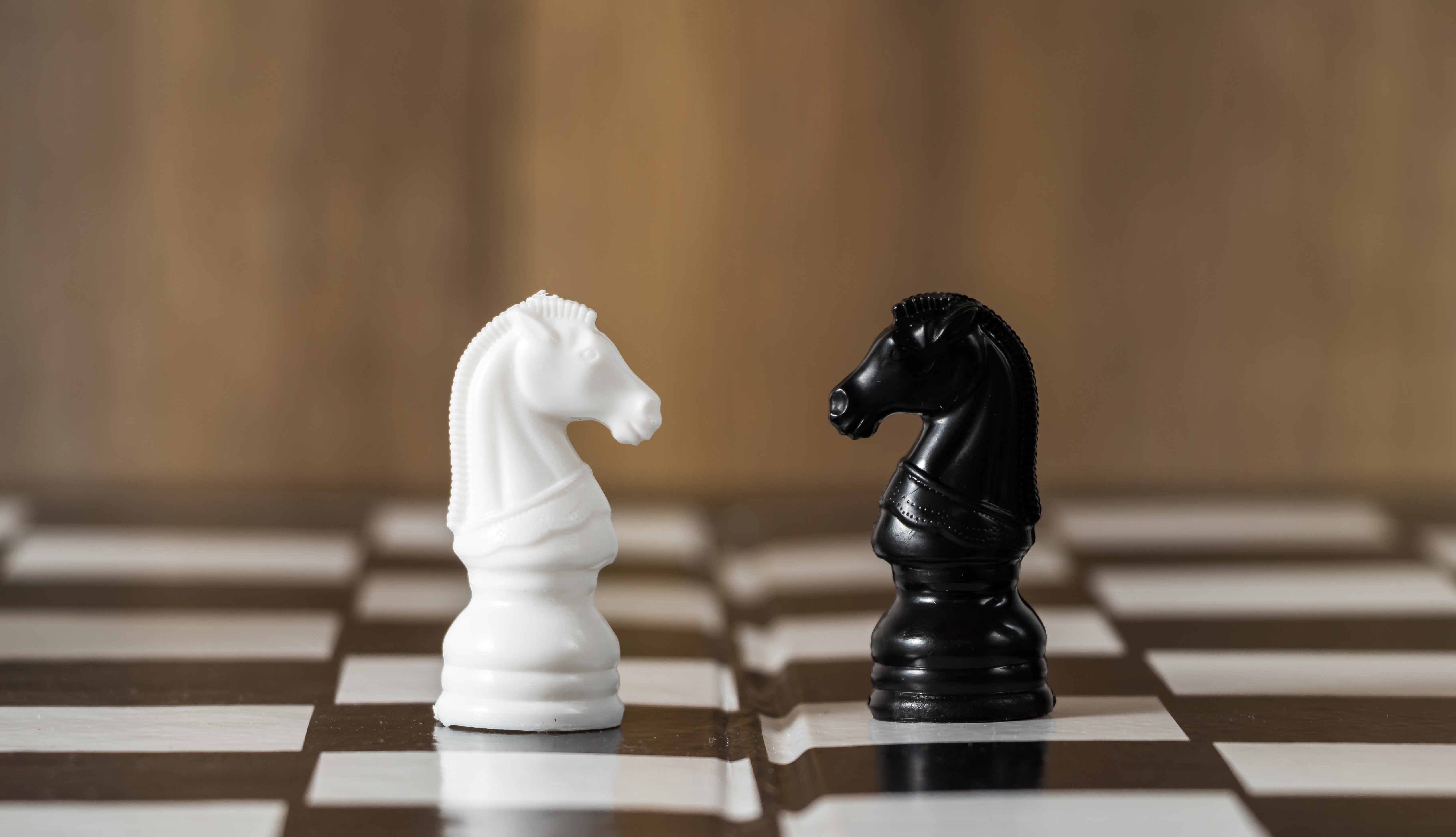 Chess Horse Wallpapers Wallpaper Cave