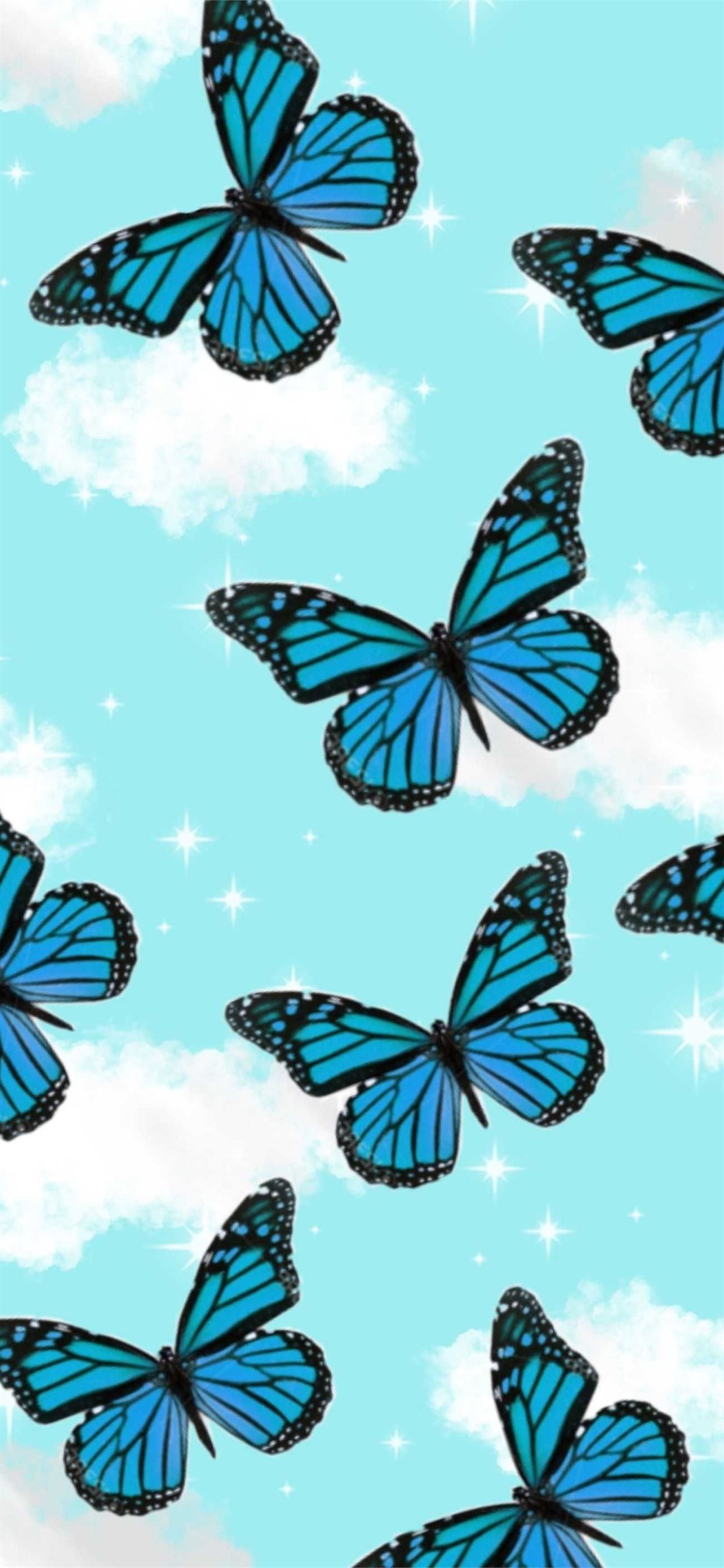 Blue Butterfly iPhone Wallpapers Wallpaper Cave