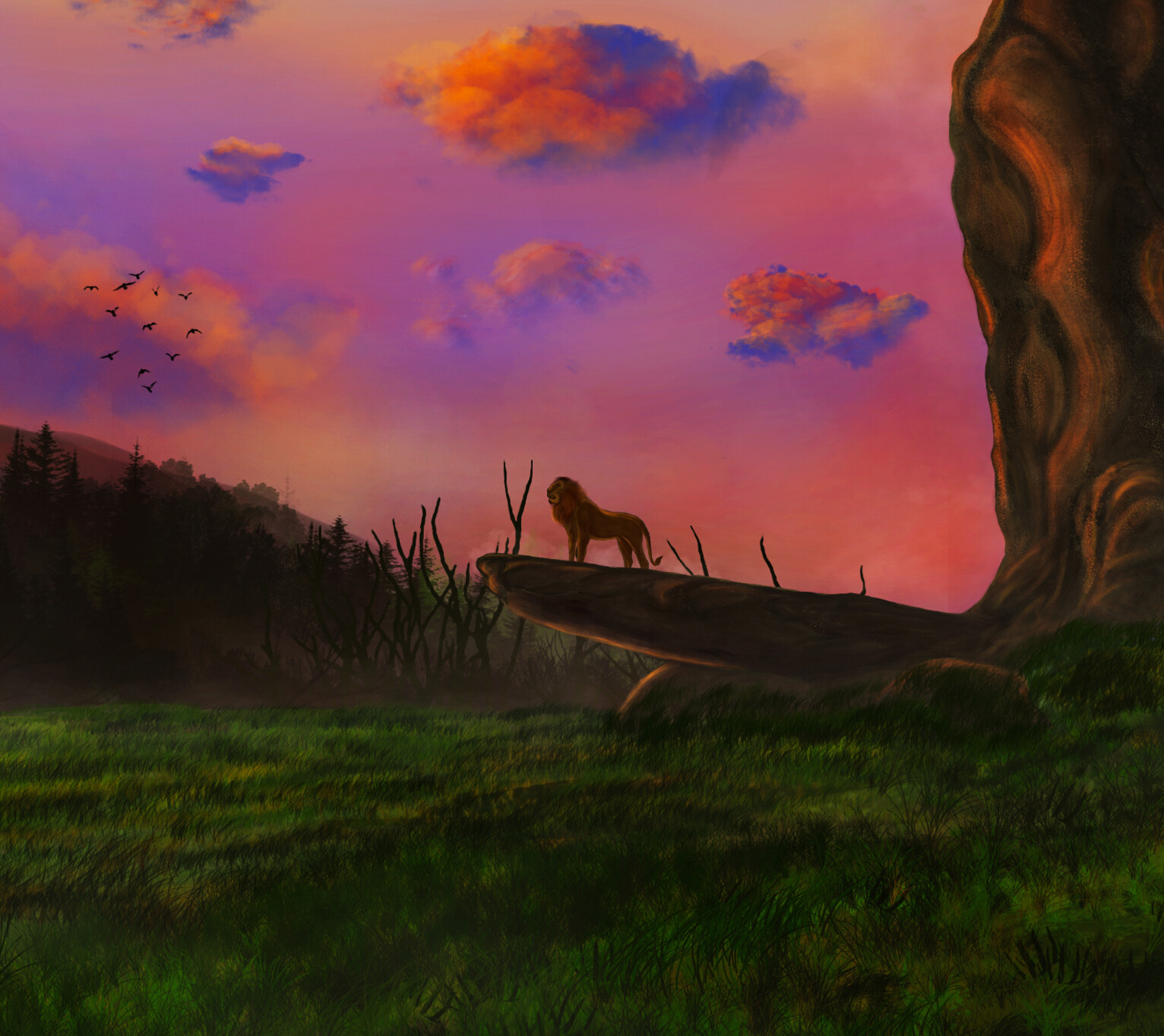 Lion King Pride Rock Wallpapers Wallpaper Cave