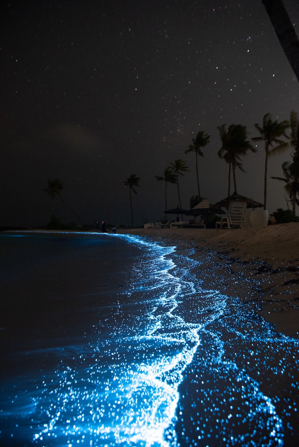 Sea Of Stars Maldives Wallpapers Wallpaper Cave