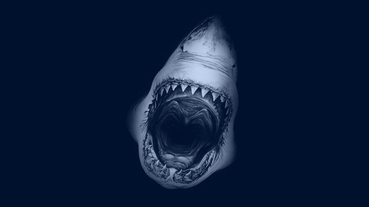 Megalodon Wallpapers Wallpaper Cave