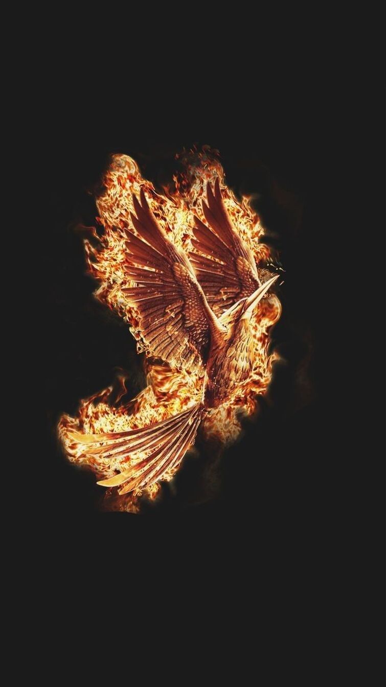 Phoenix Phone Wallpapers Wallpaper Cave